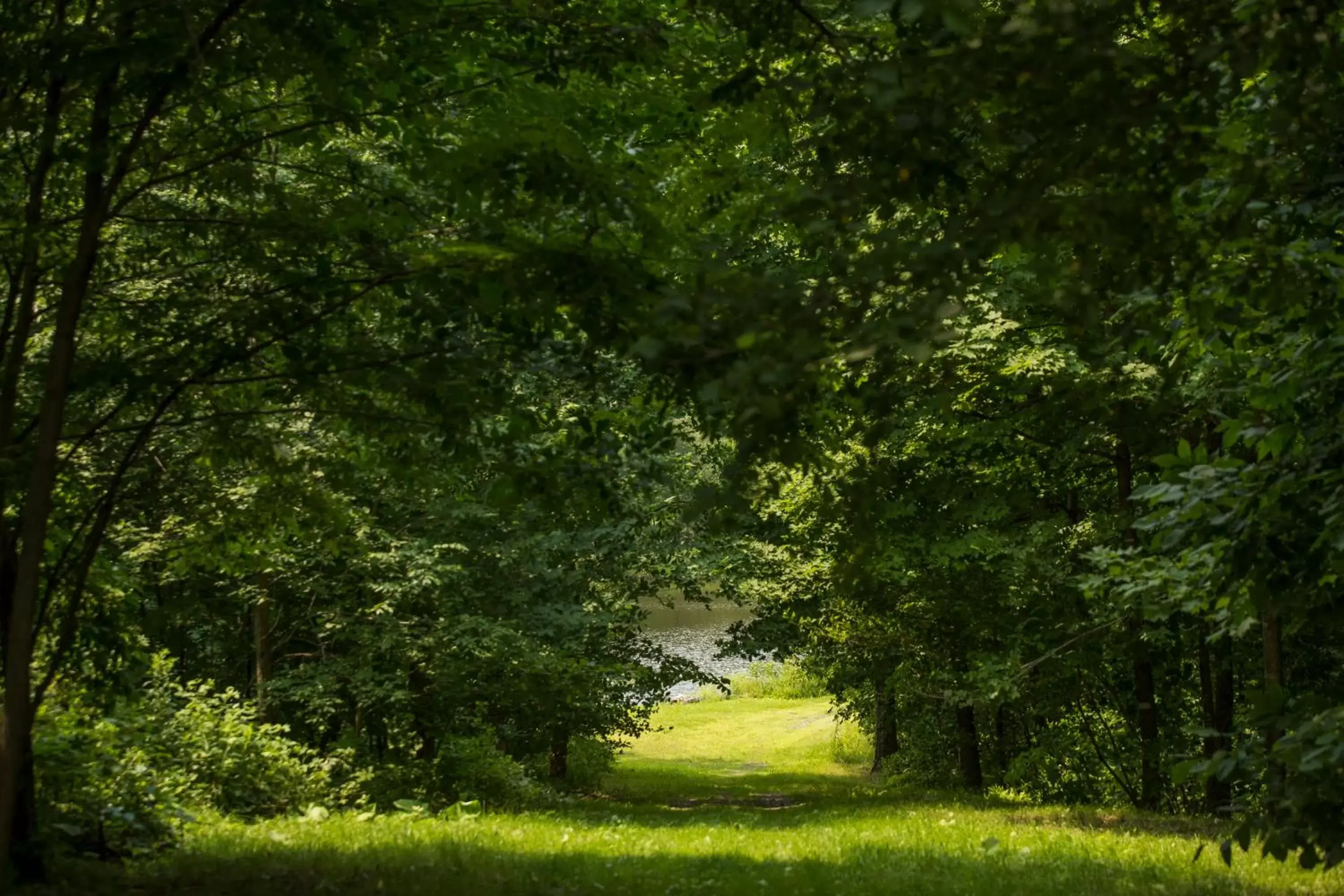 Hiking, Garden in Domaine Jolivent