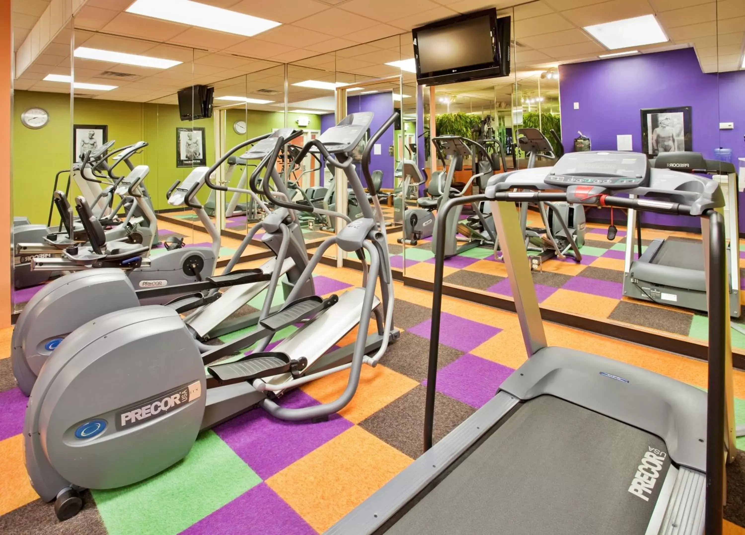 Fitness centre/facilities, Fitness Center/Facilities in Holiday Inn At the Campus, an IHG Hotel