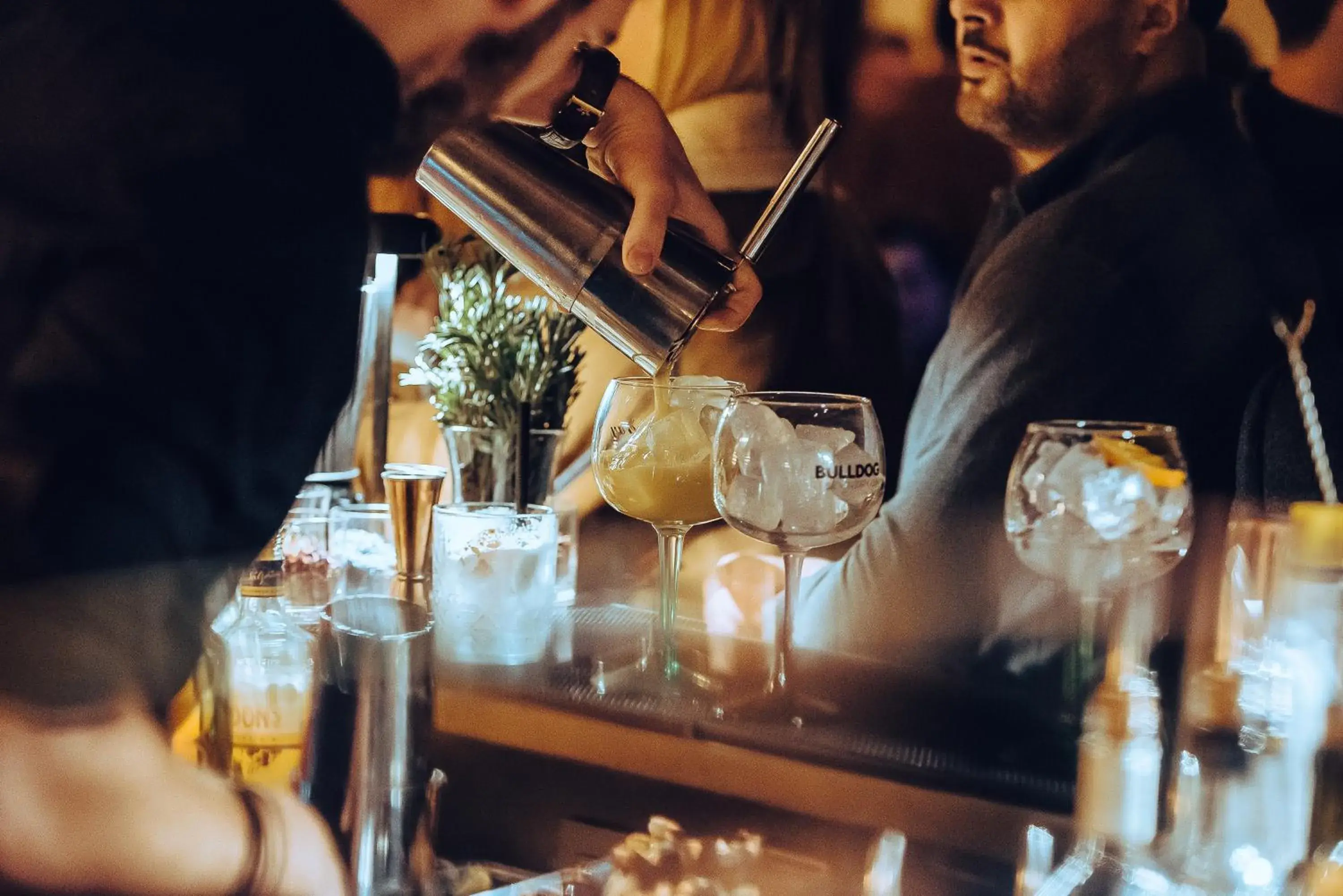 Lounge or bar in Harmon House