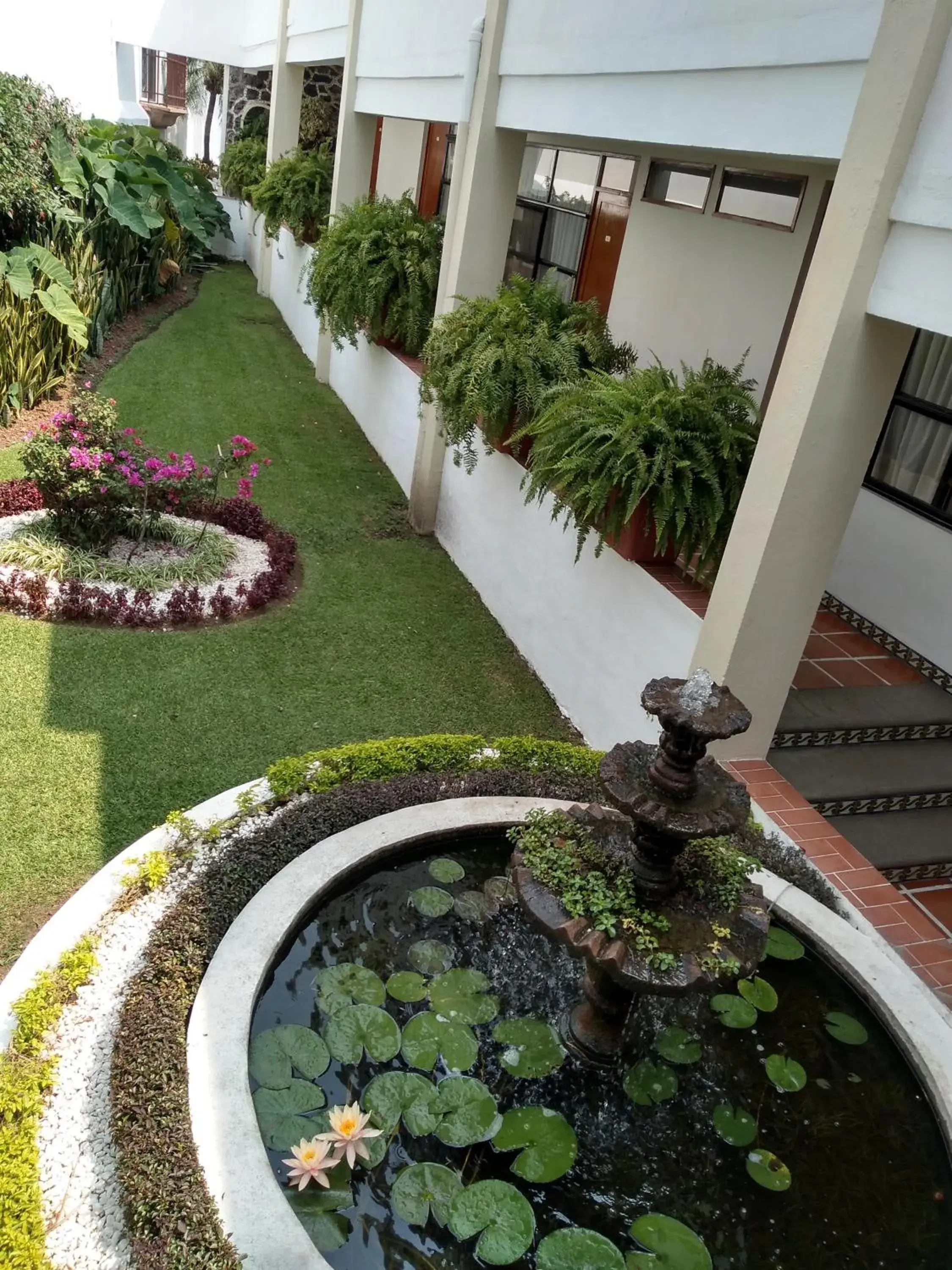 Garden in Hotel Posada Quinta Las Flores