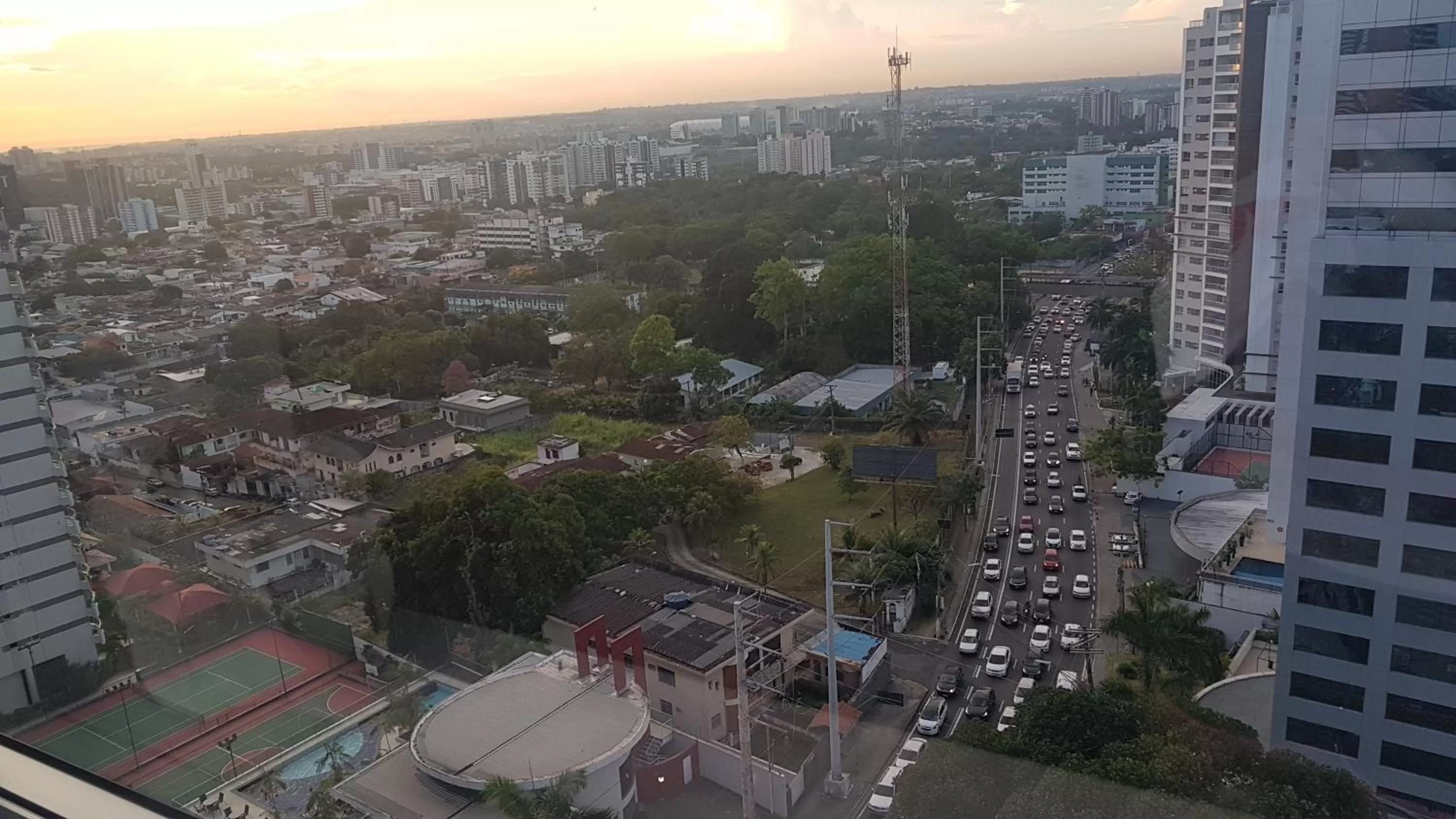 Bird's-eye View in Flat Manaus