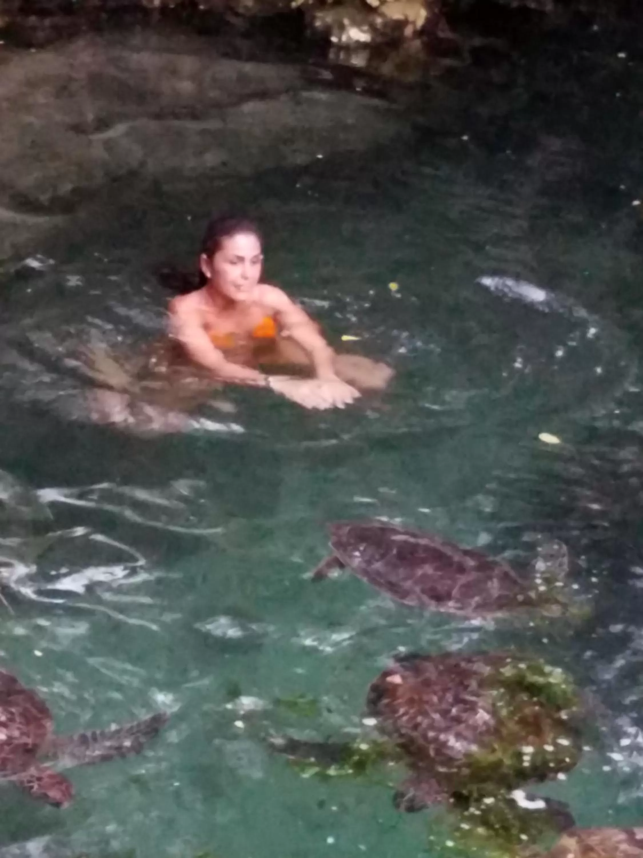 Baraka Aquarium Bungalows