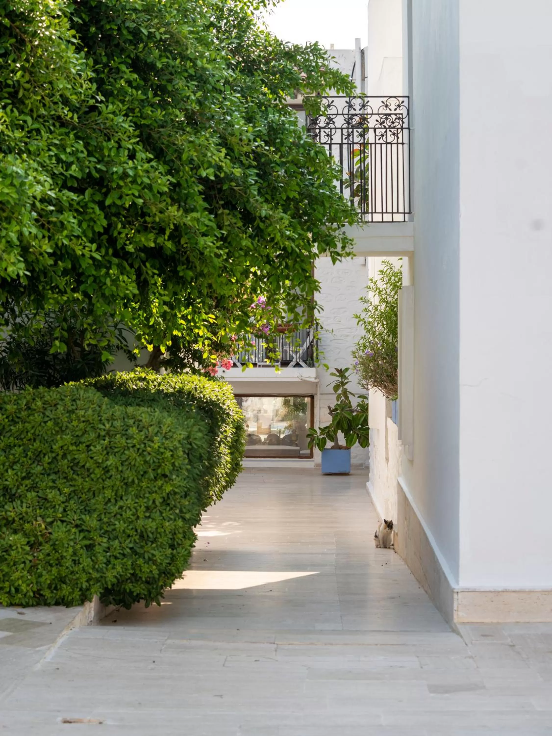 View (from property/room) in Seckin Konaklar