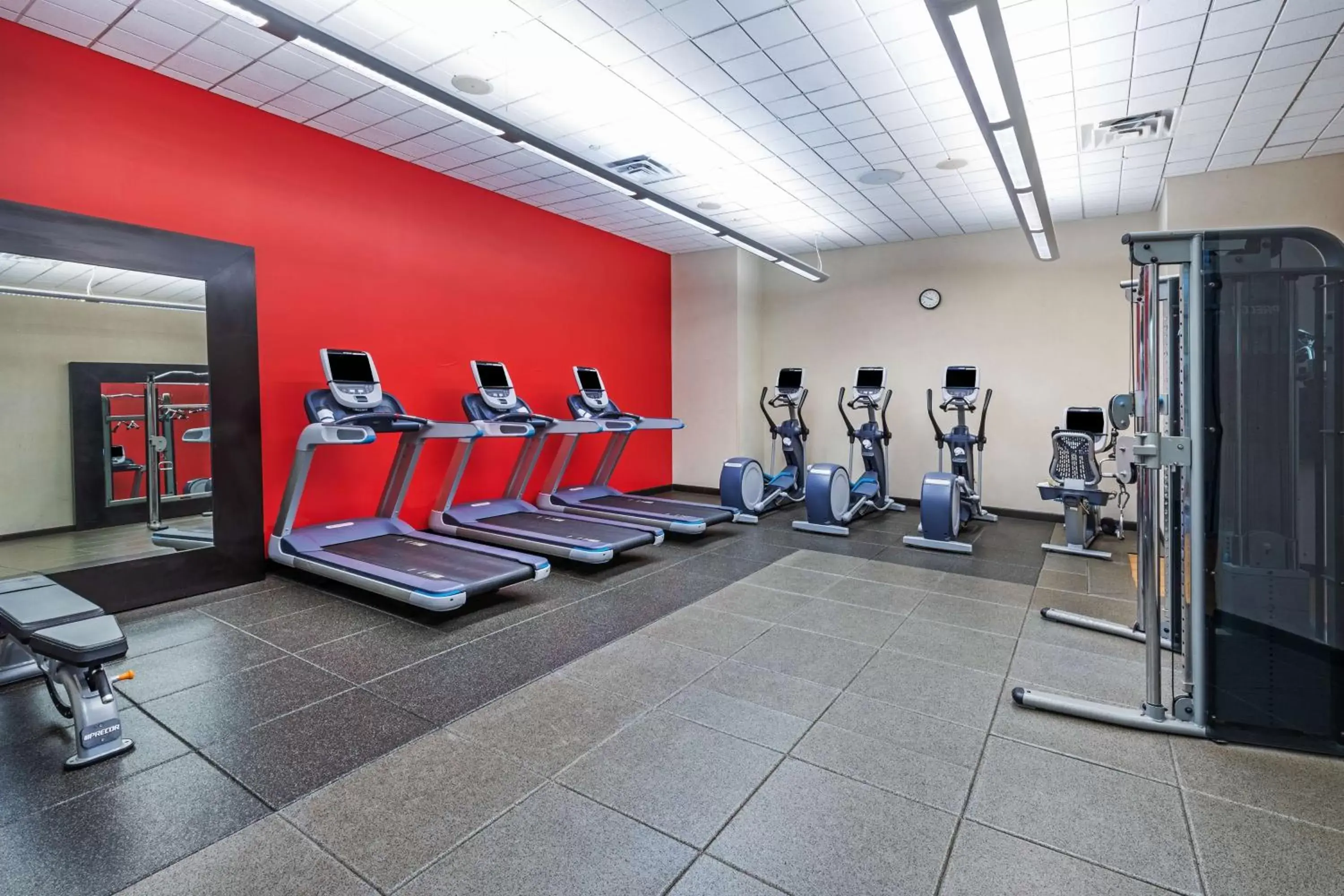 Fitness centre/facilities, Fitness Center/Facilities in Embassy Suites by Hilton Houston-Energy Corridor