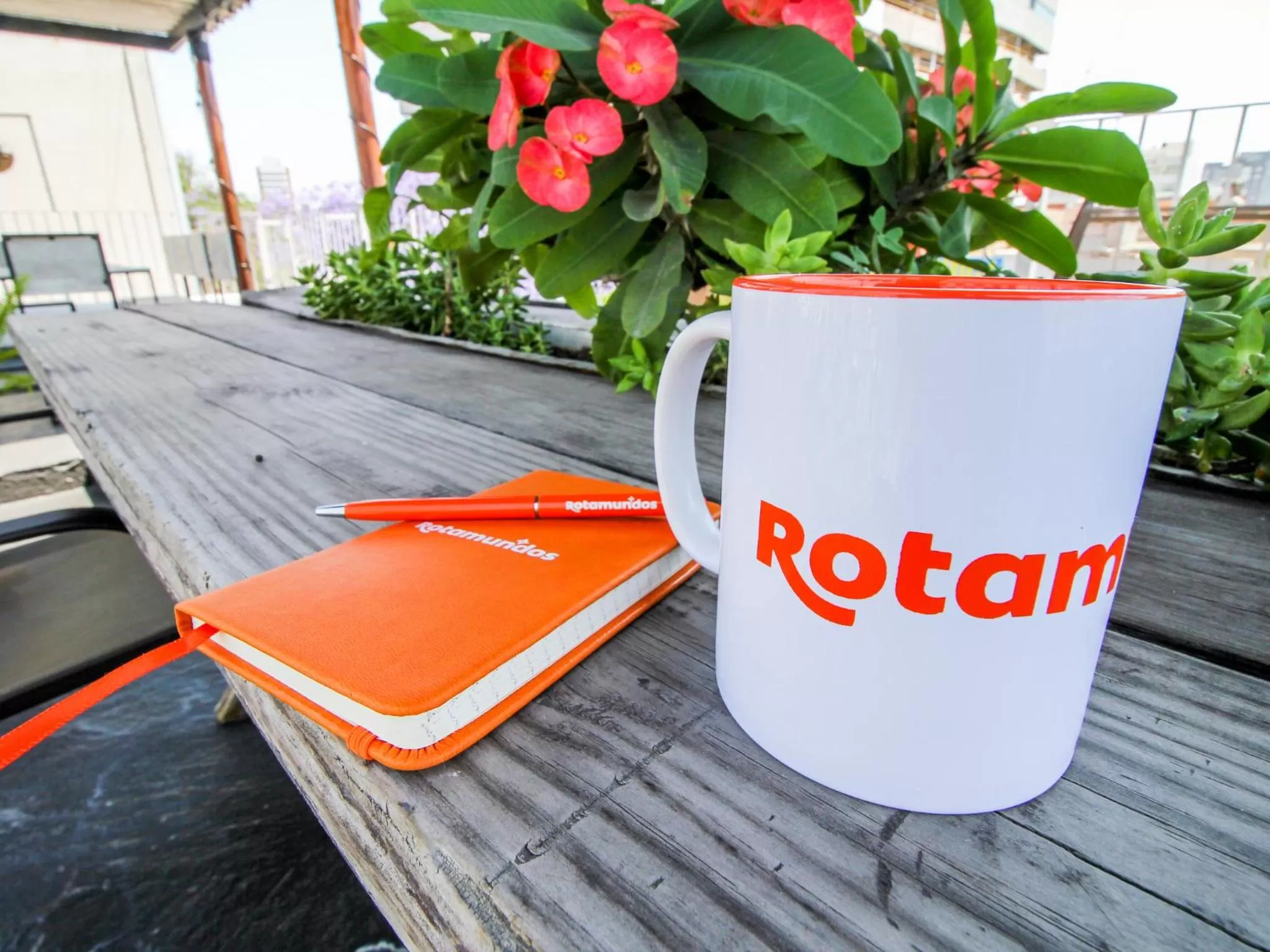 Other in VL Hotel Boutique Consulado Chapu Guadalajara