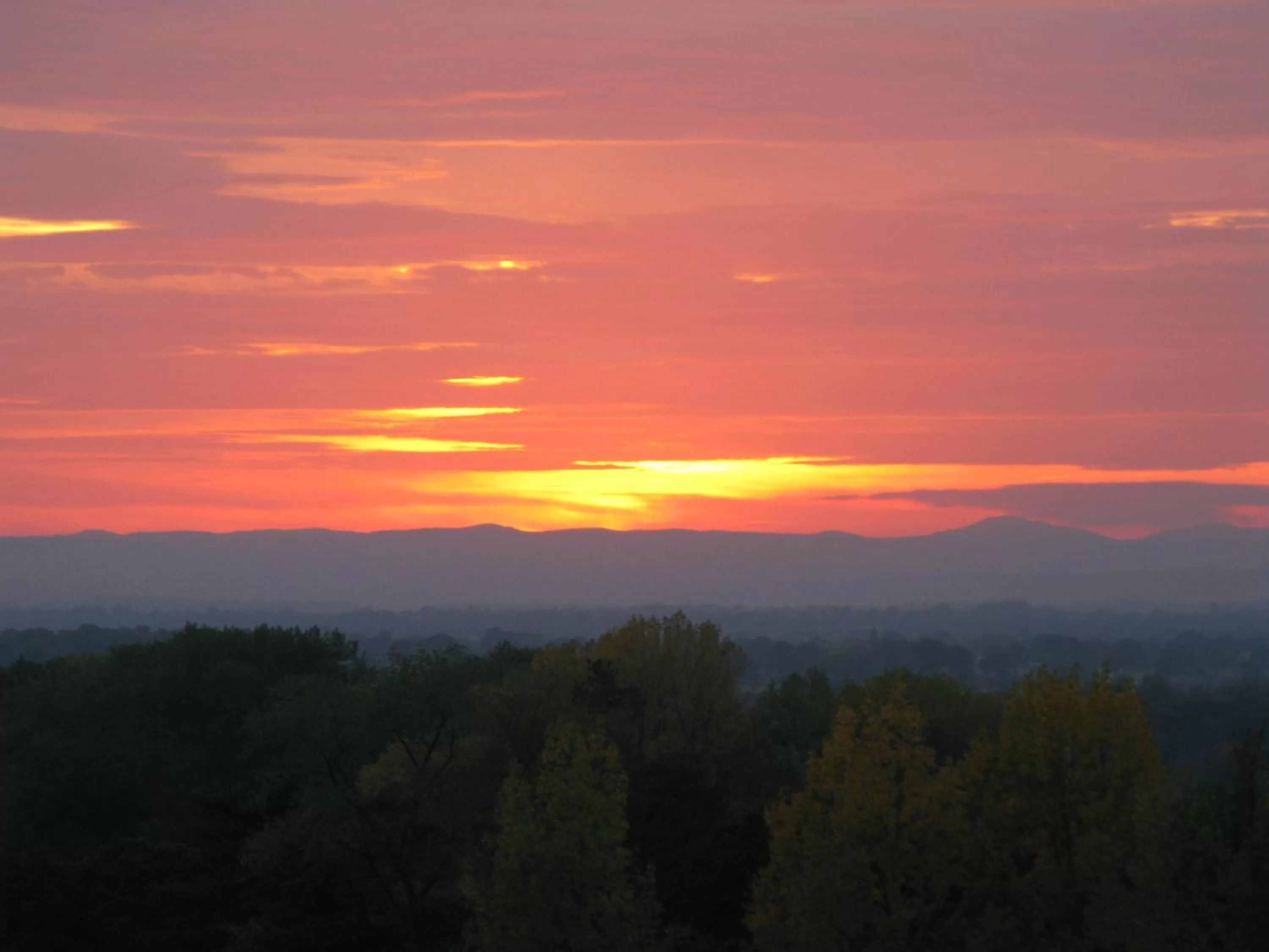 Natural landscape in Willington Hall Hotel