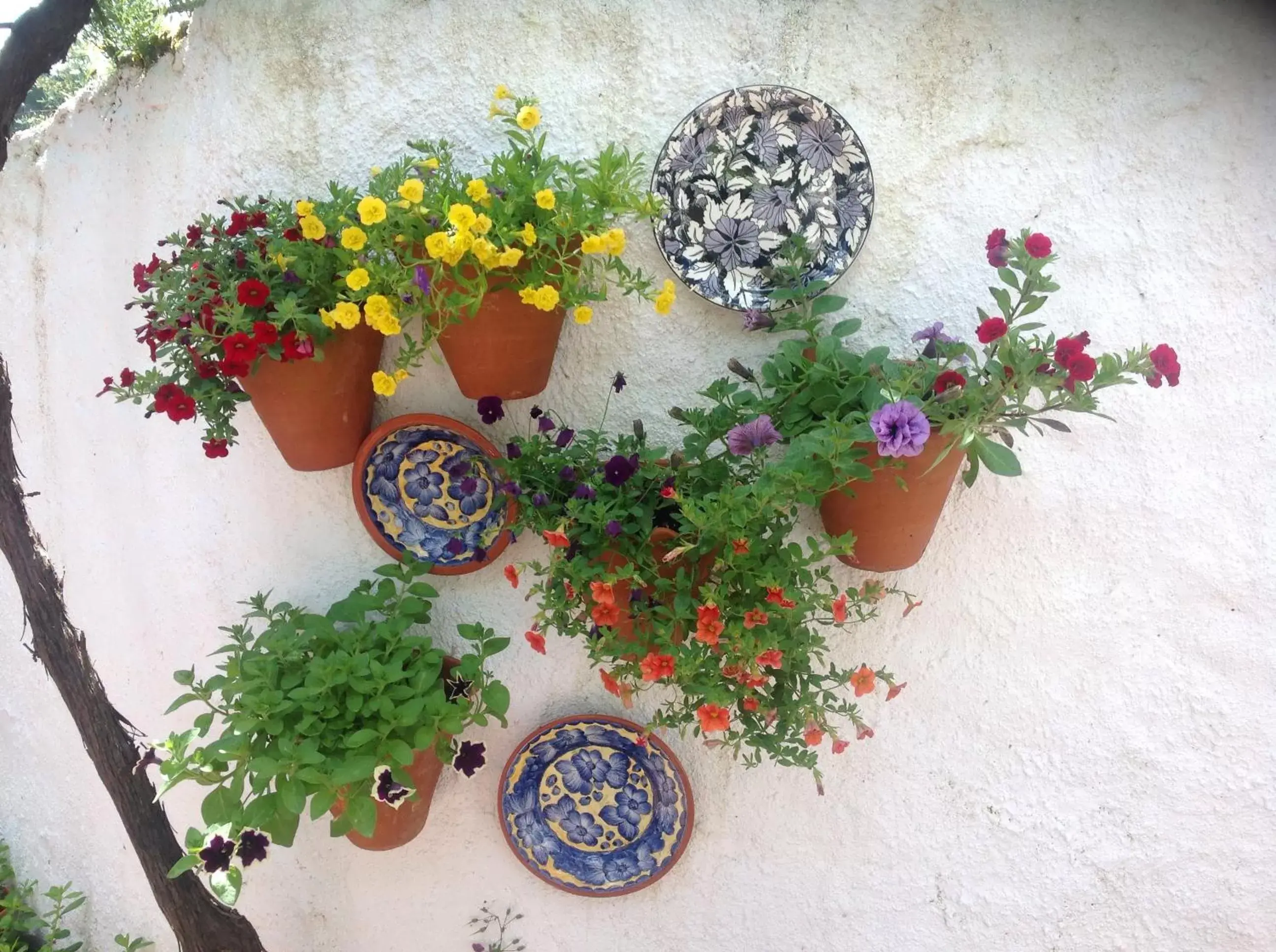 Patio in House Of The Three Marias