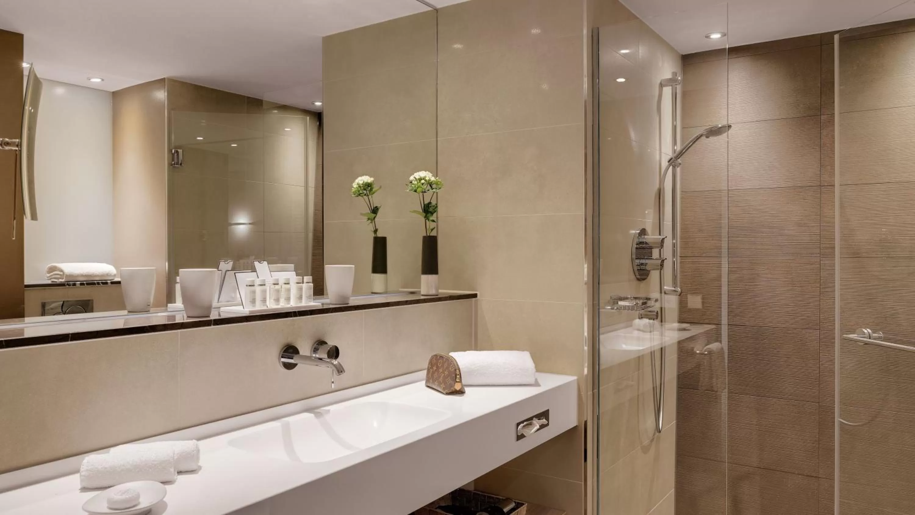 Shower in Hotel Stadt Lörrach