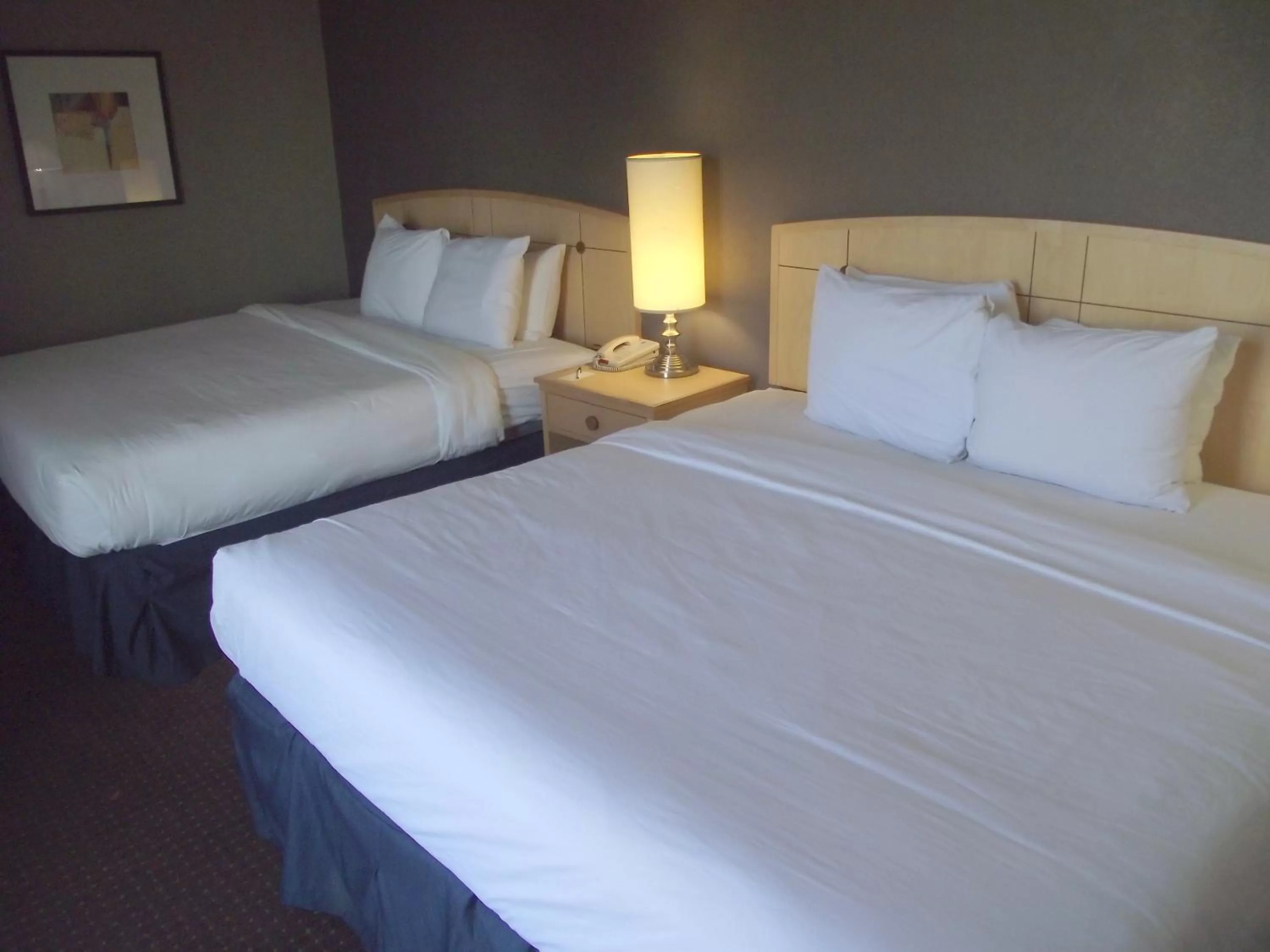 Bedroom in Travelodge by Wyndham Memphis Airport/Graceland