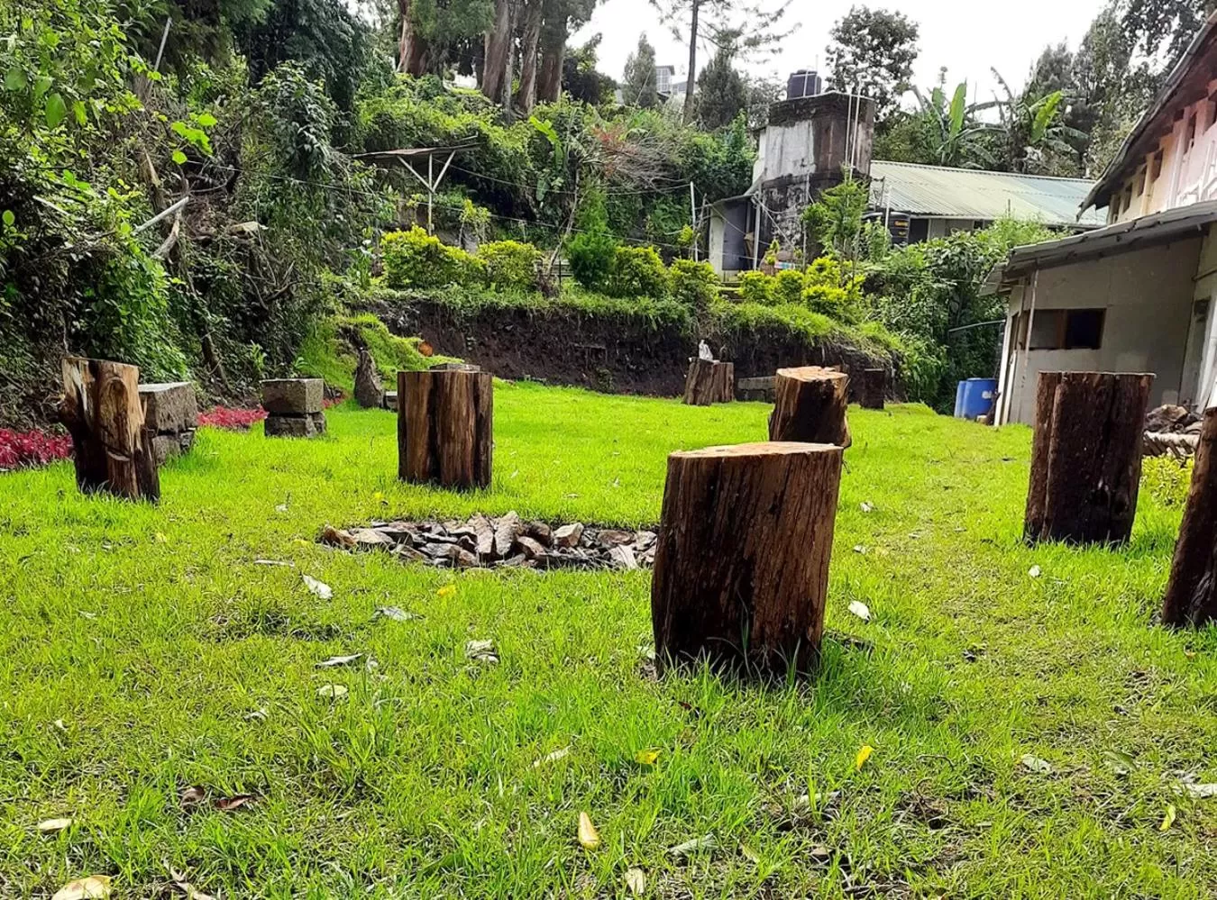 Garden in GRAND KODAI SR INN