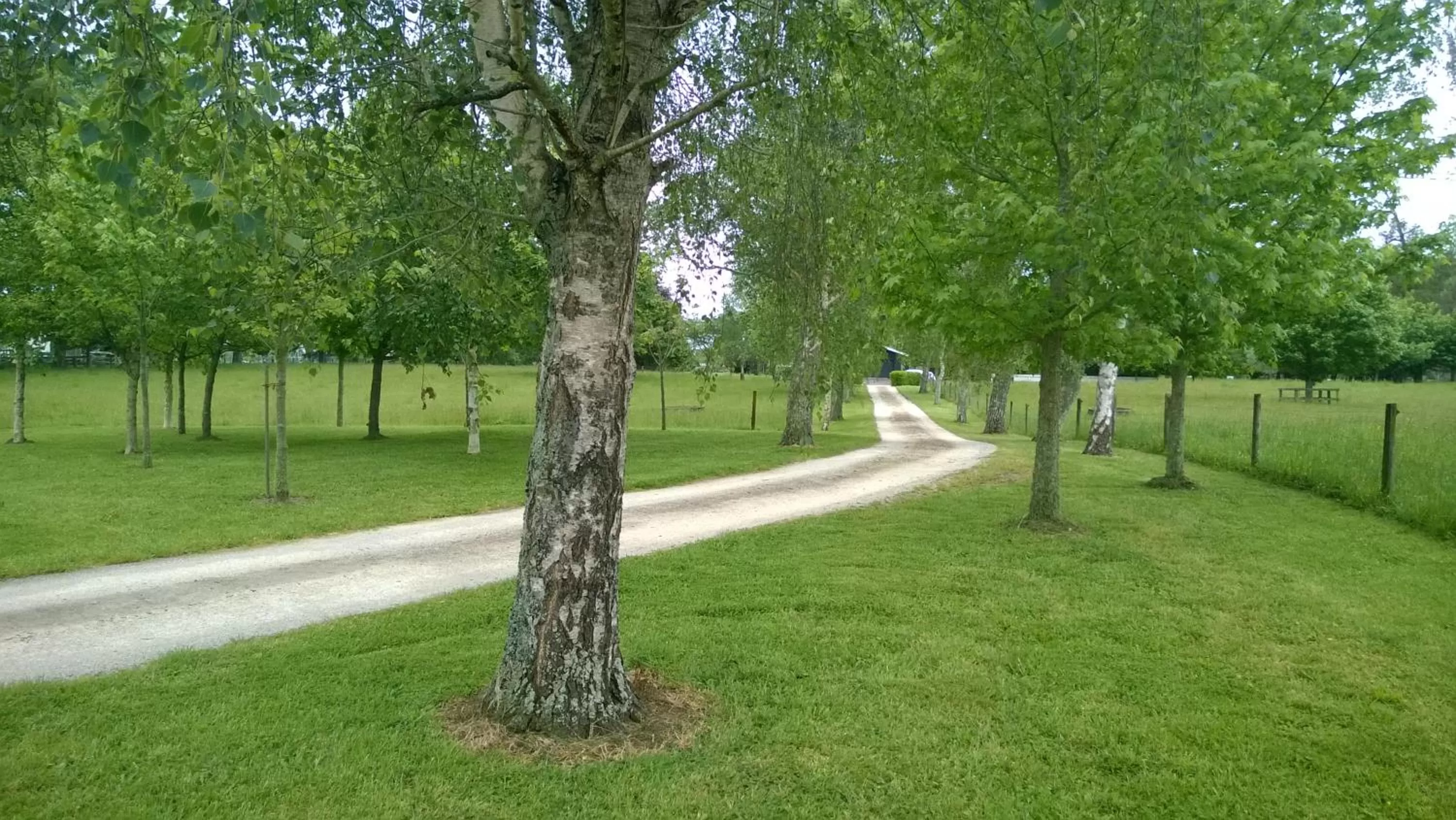 Natural landscape in Korbaylen Estate