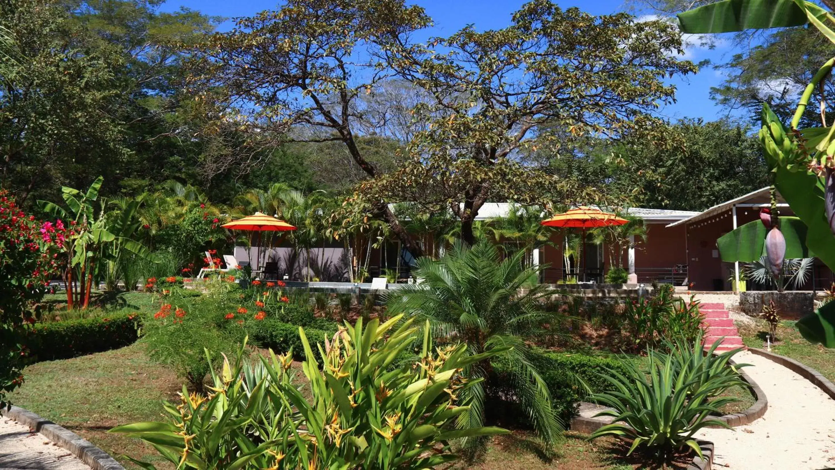 Garden in Tee-K Lodge Tamarindo