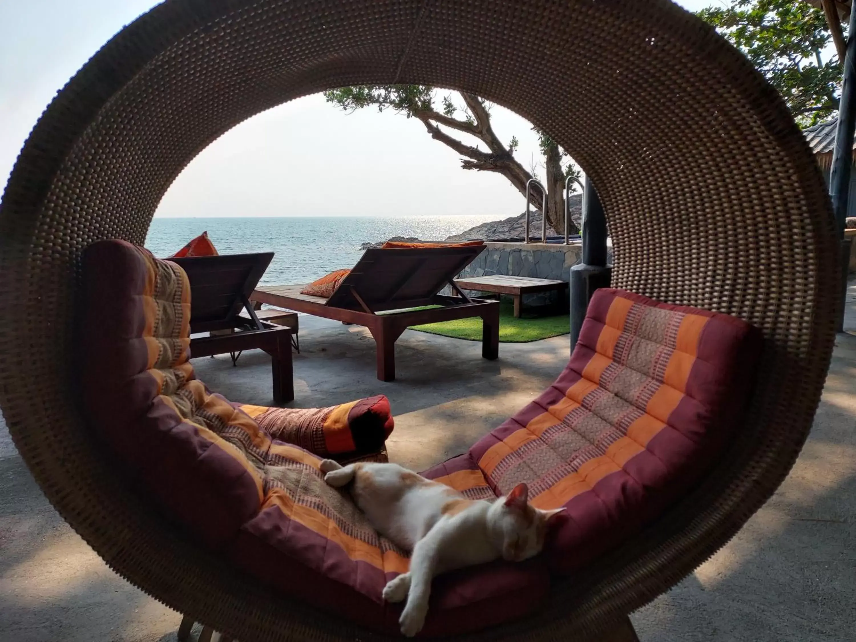 Restaurant/places to eat in Cliff Cottage Restaurant/places to eat in Cliff Cottage