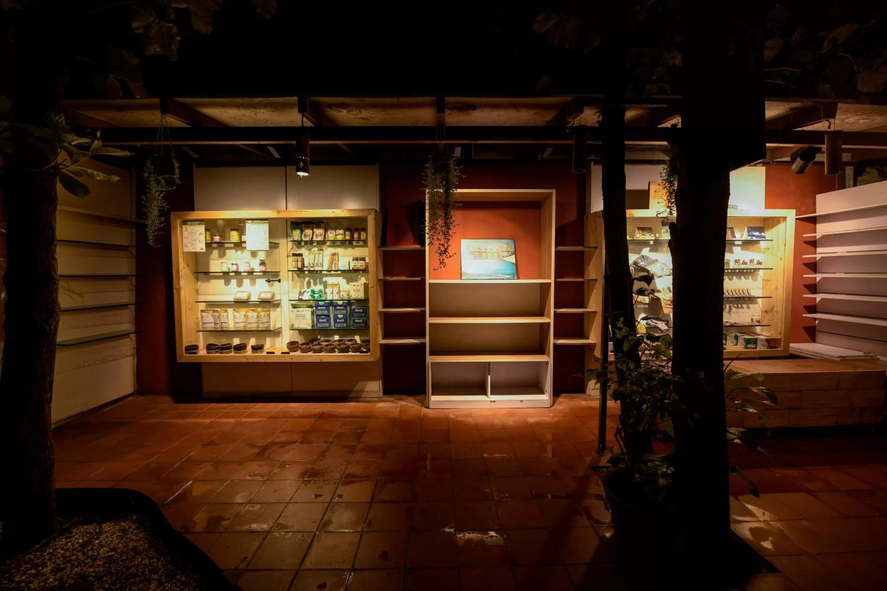 Shopping Area in SAFARI QUEST