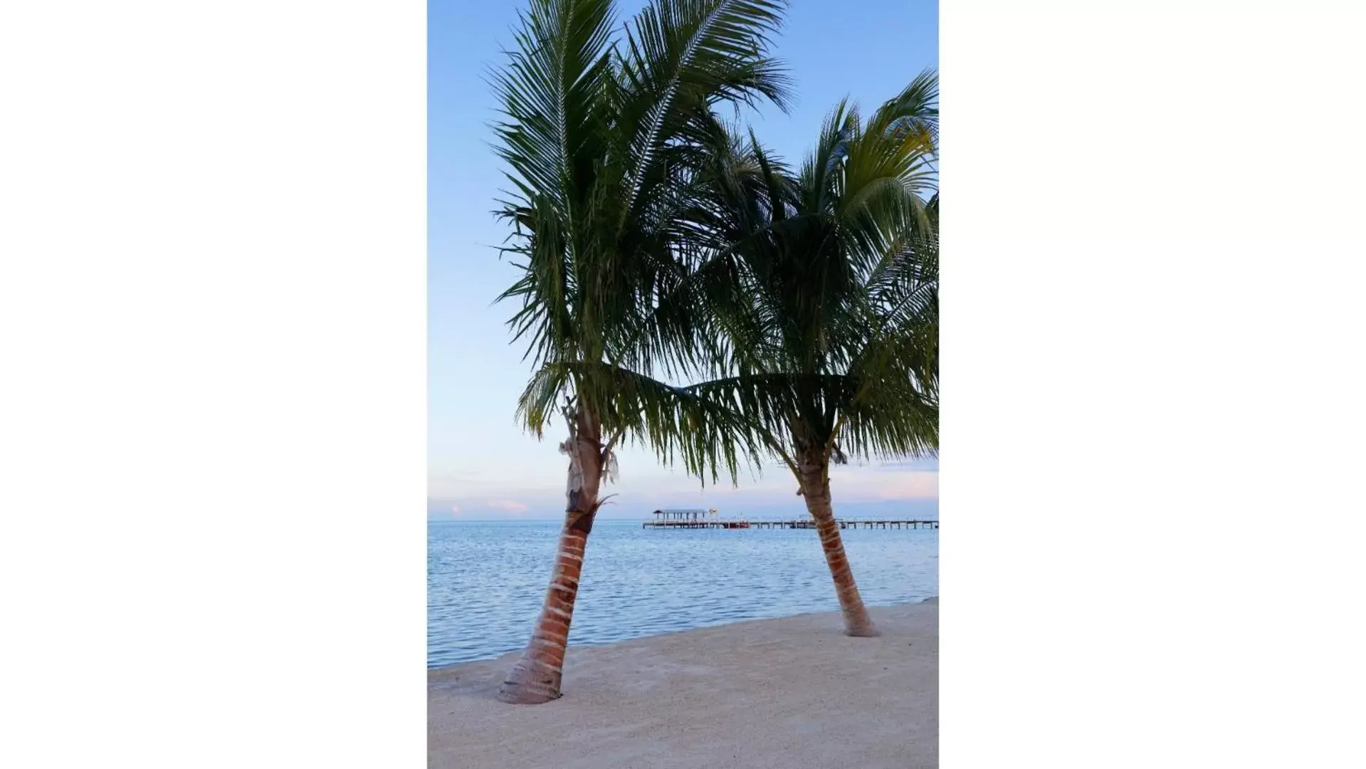 Beach in Cheeca Lodge & Spa