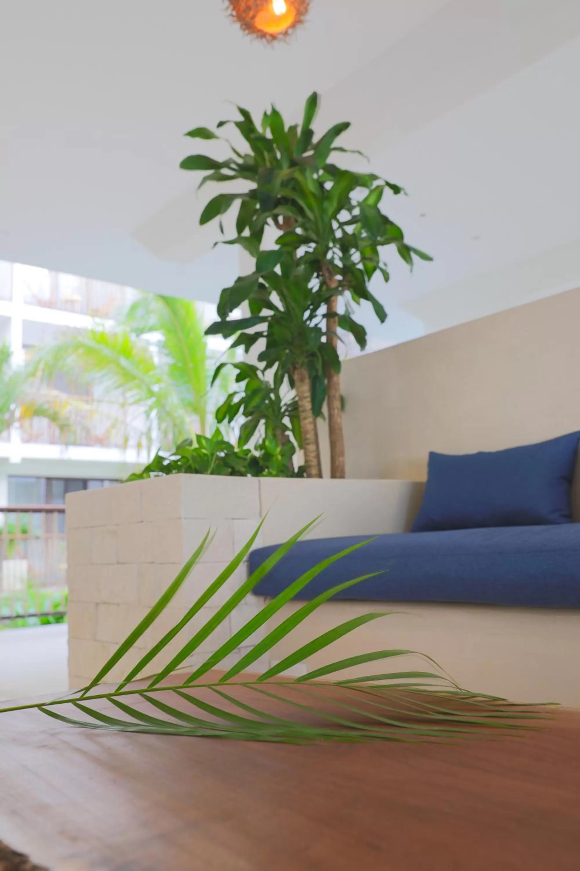 Lobby or reception in Hotel Blanco Tulum Adults Only