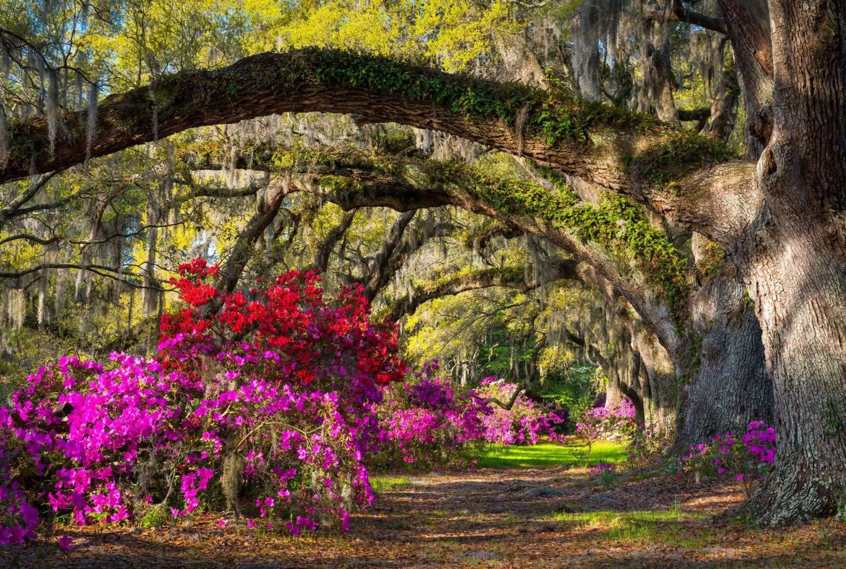 Off site, Garden in Cambria Hotel Summerville - Charleston