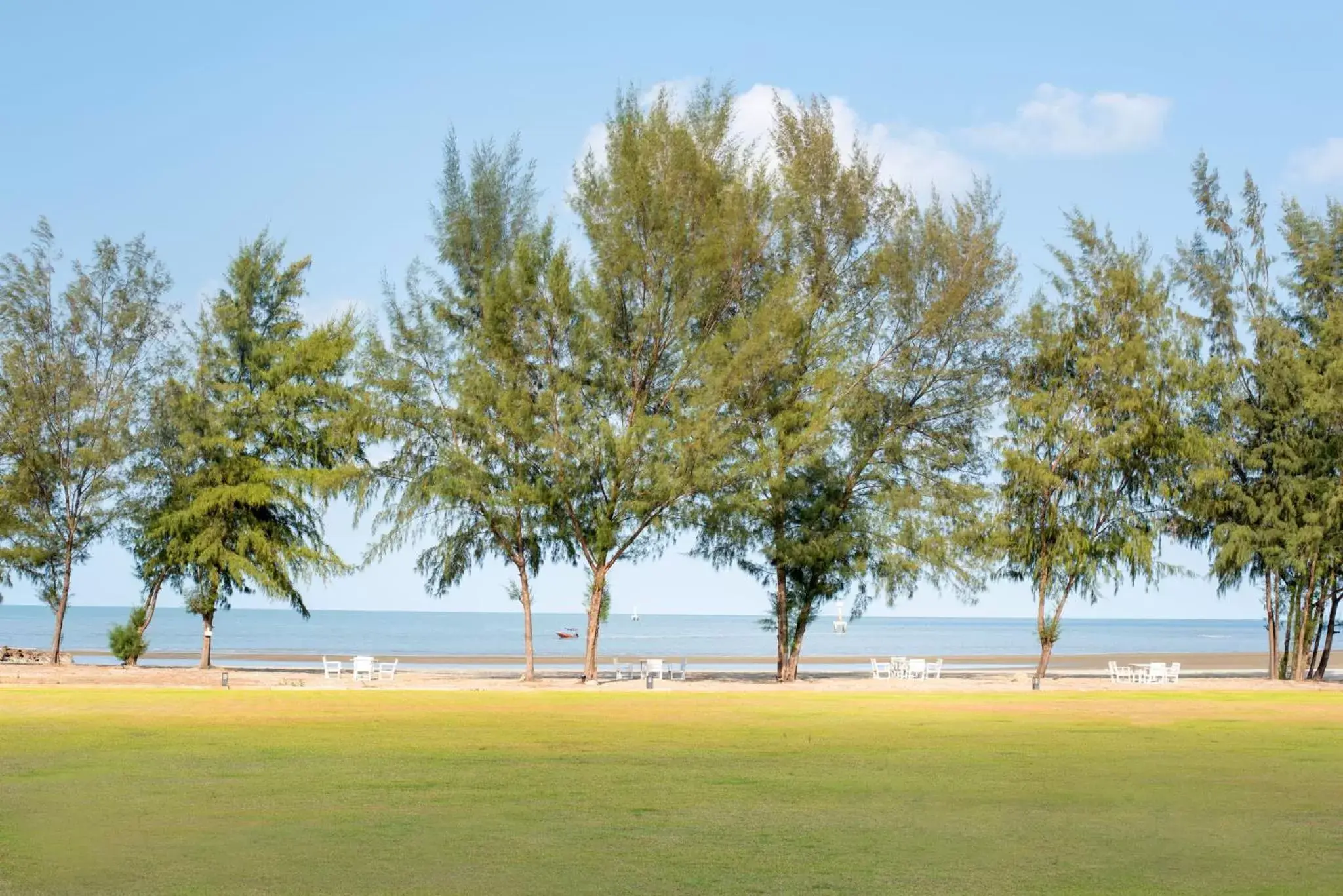 Natural landscape in La Isla Pranburi Beach Resort