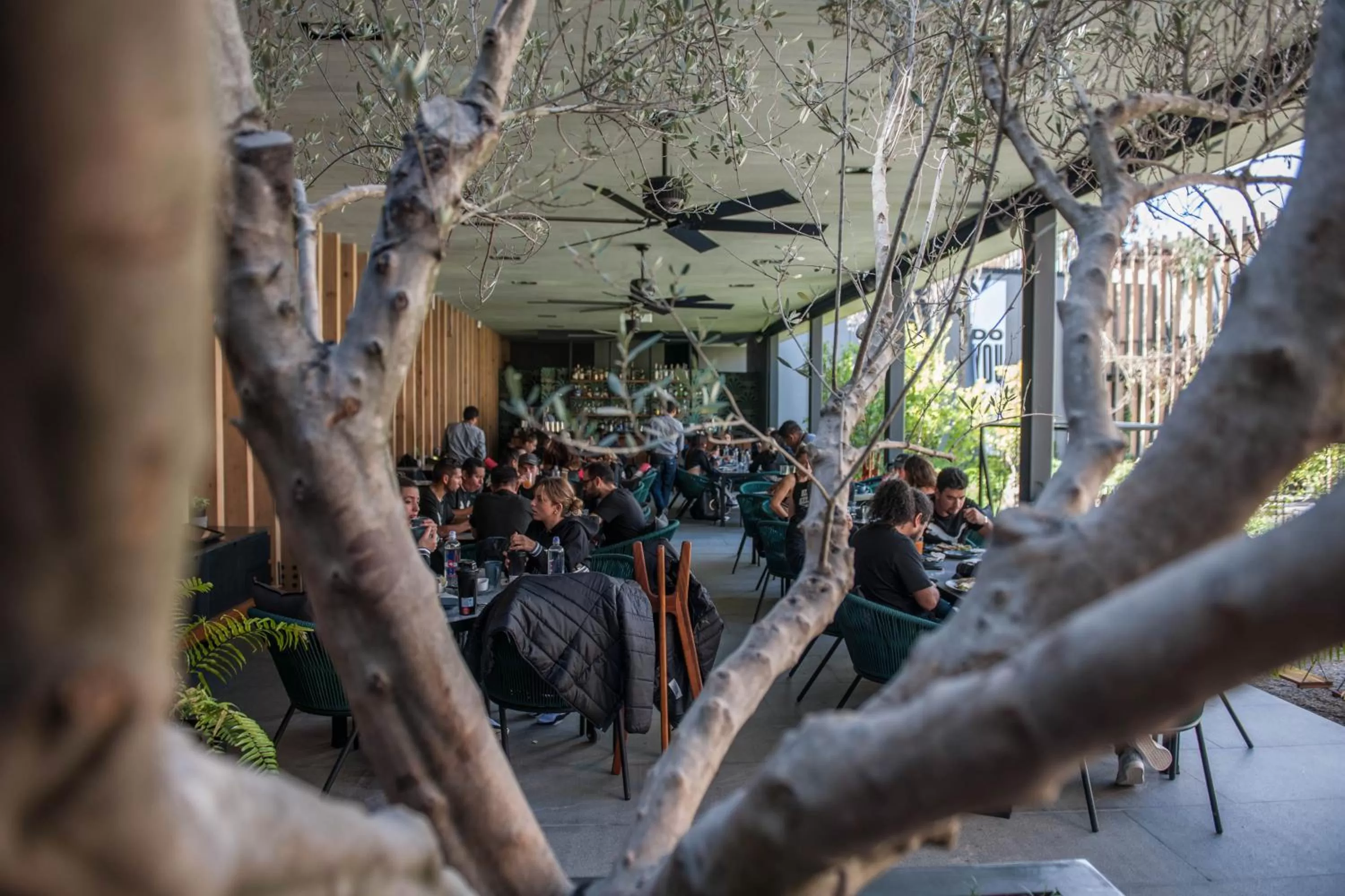 Restaurant/places to eat in Cinco Rodavento