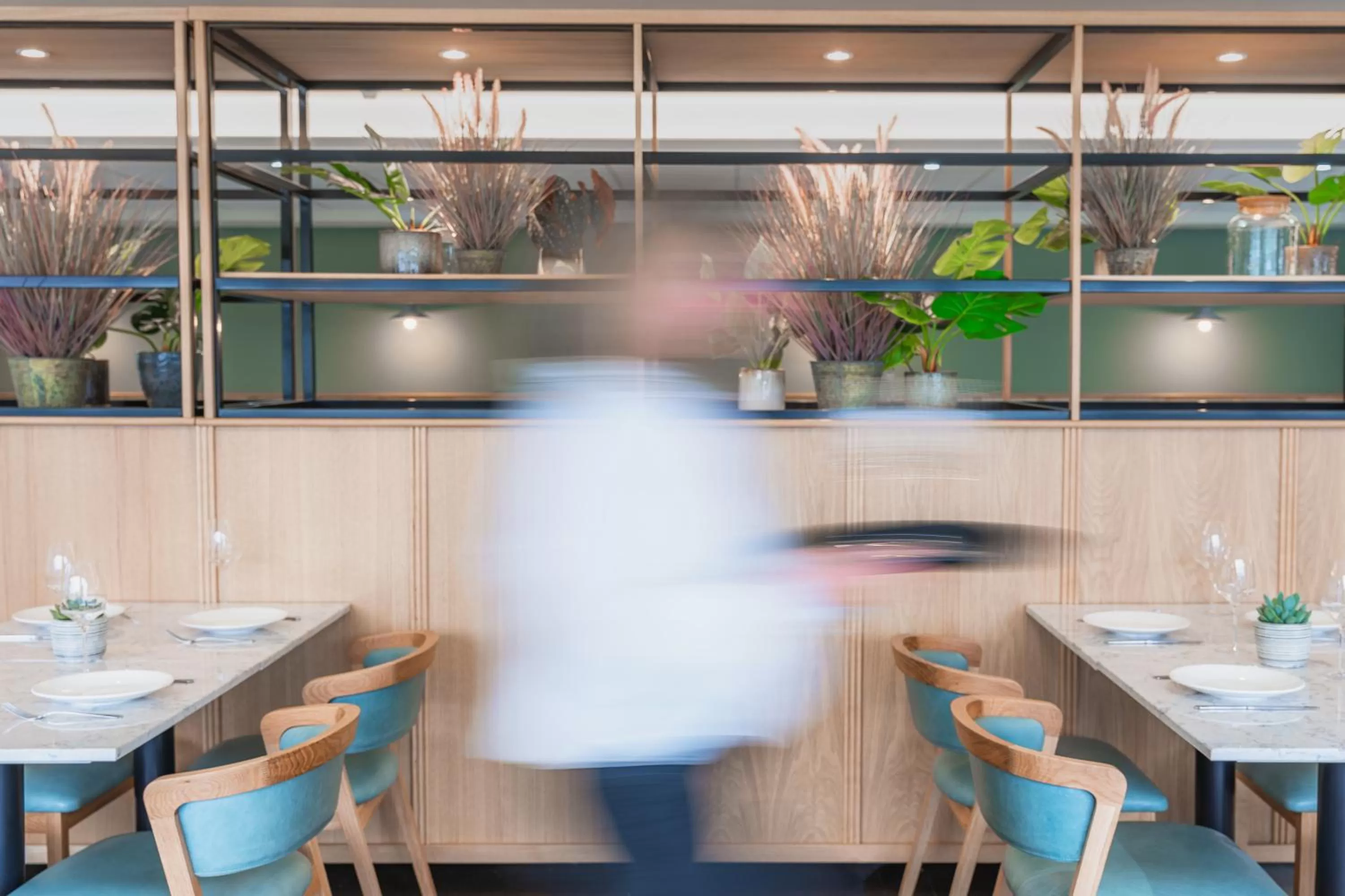 Food and drinks in Aberystwyth Park Lodge Hotel