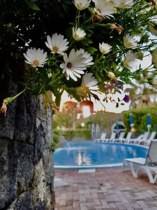 Swimming Pool in Hotel Regina Palace Terme