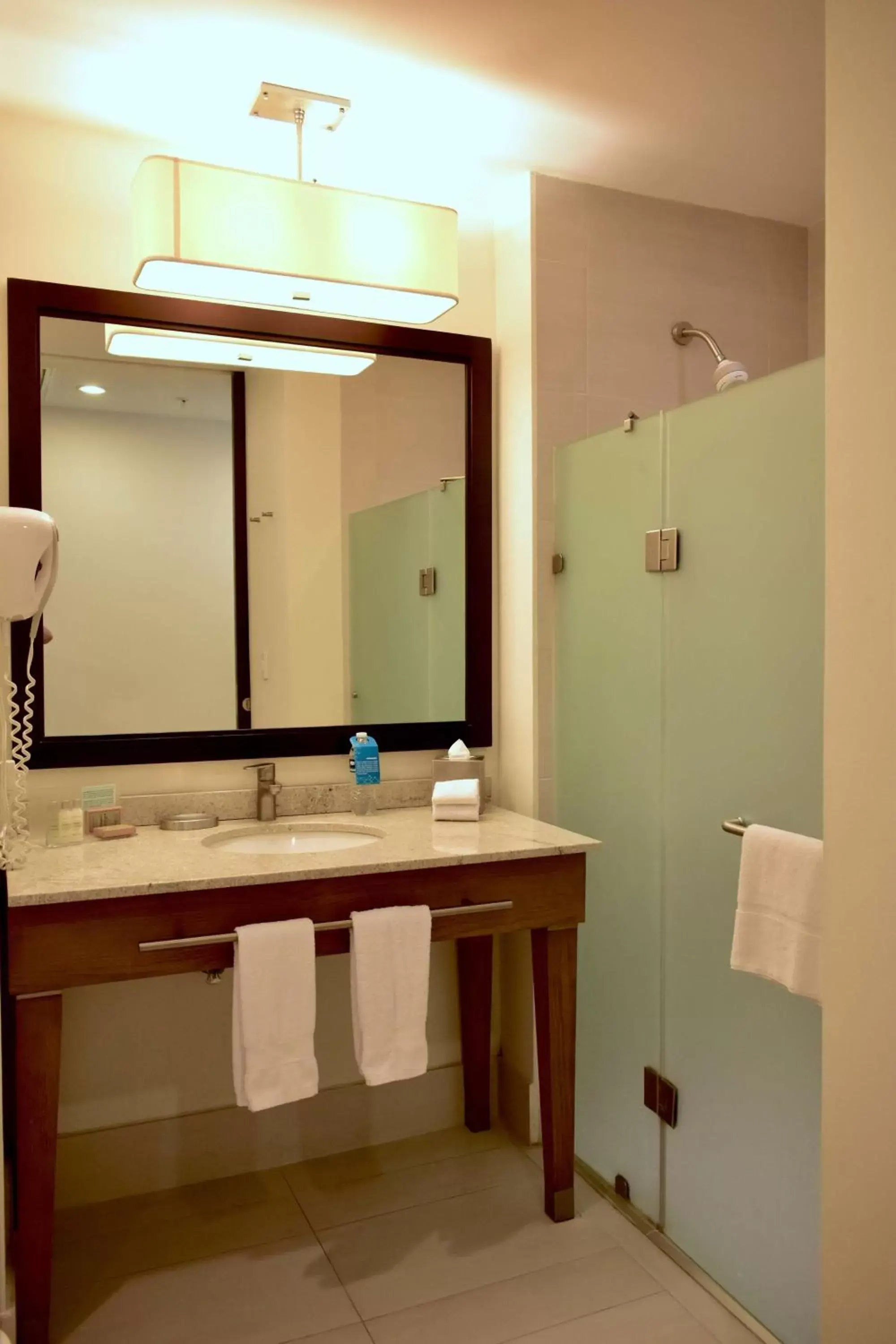 Bathroom in Hampton Inn by Hilton Ciudad del Carmen