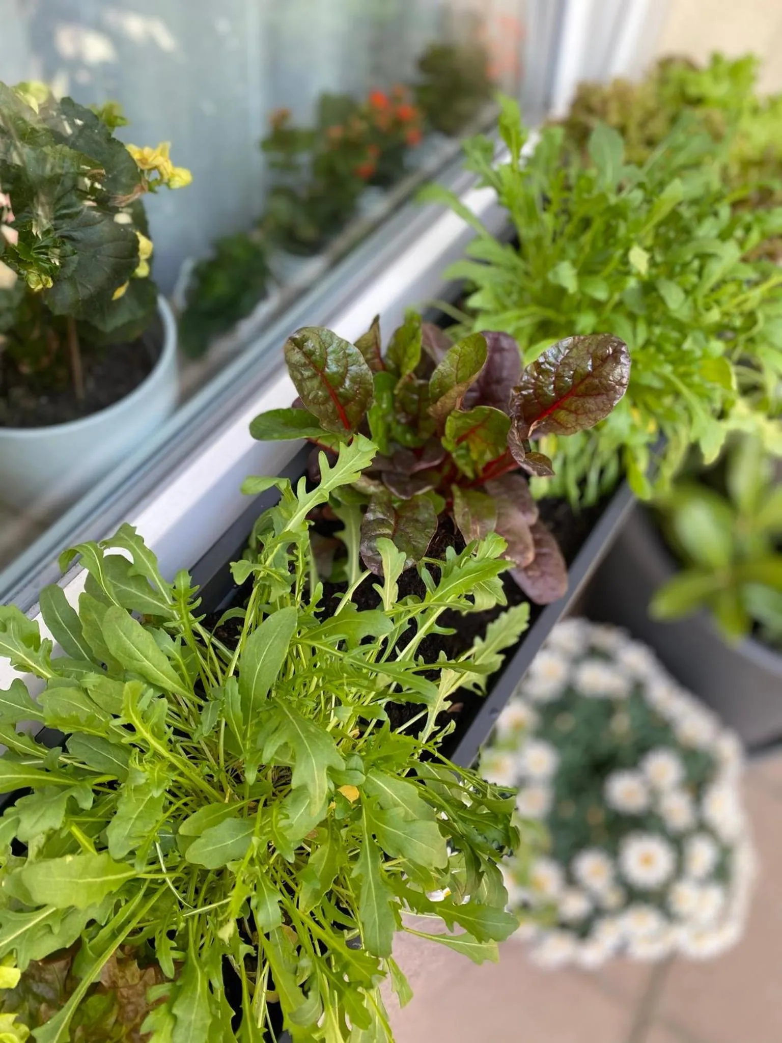Garden in Burghotel Nürnberg