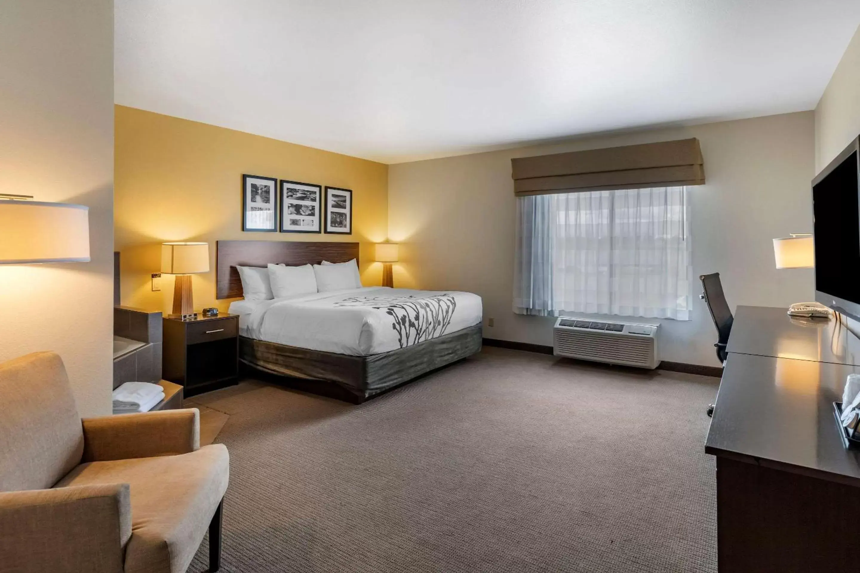 Photo of the whole room in Sleep Inn & Suites Miles City