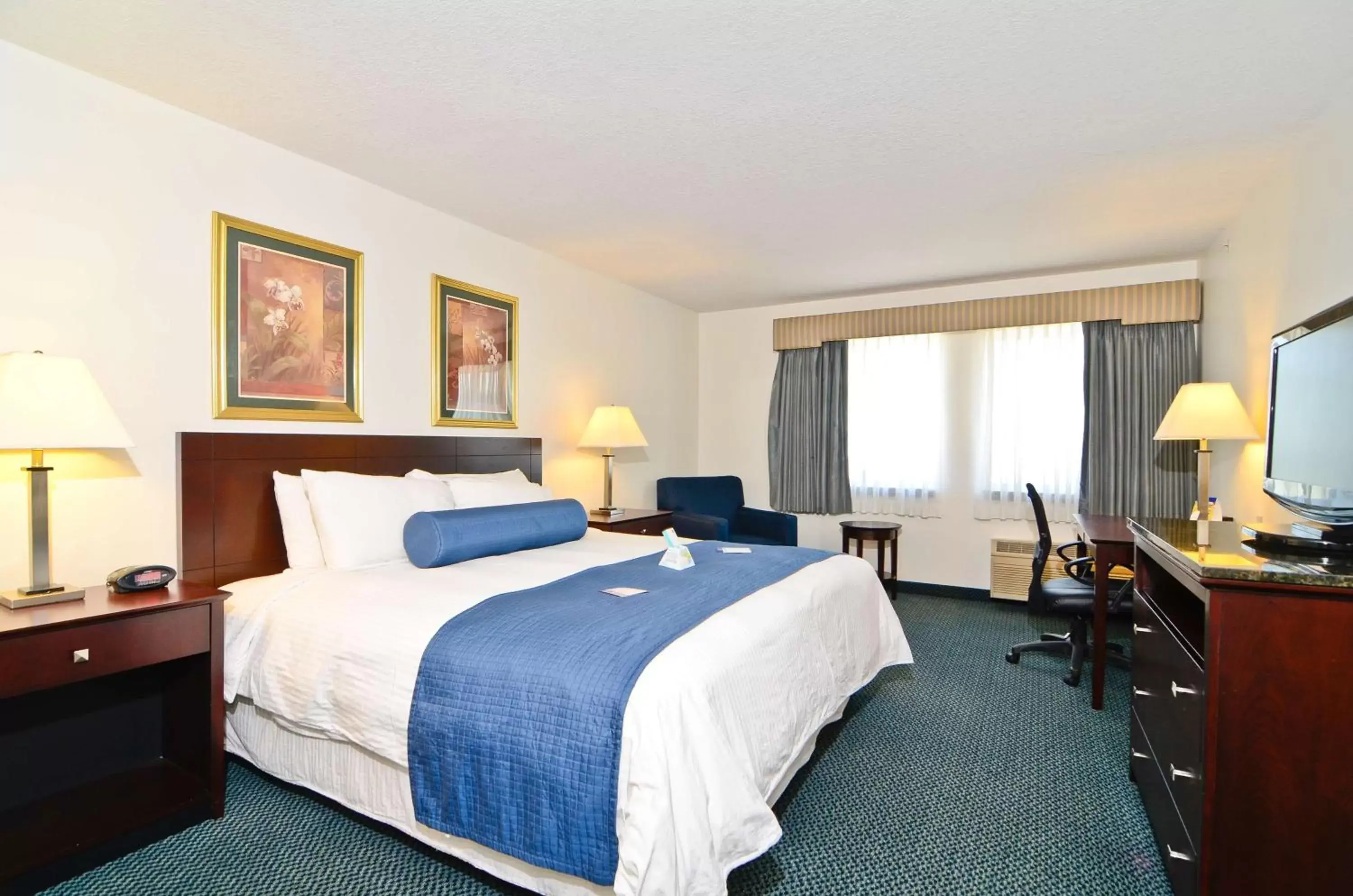 Photo of the whole room, Bed in Best Western Plus Gas City