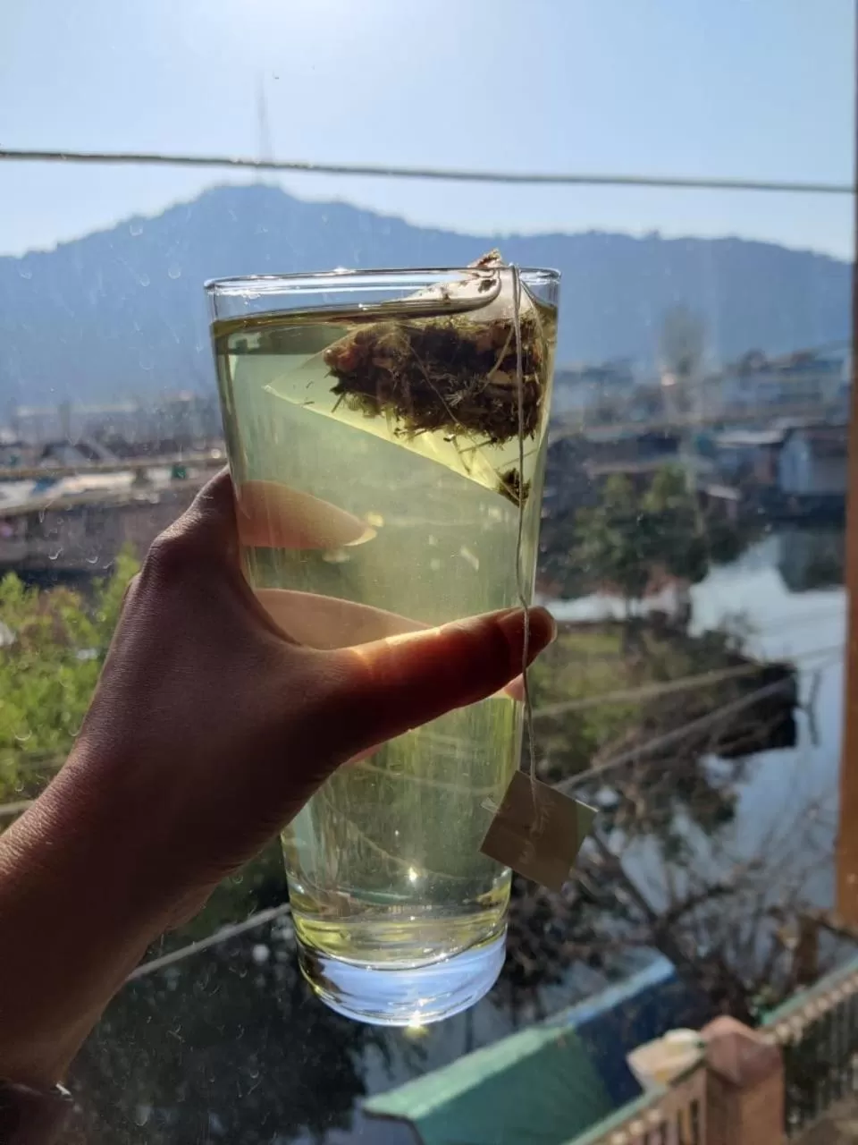 Natural landscape in Hotel Crescent