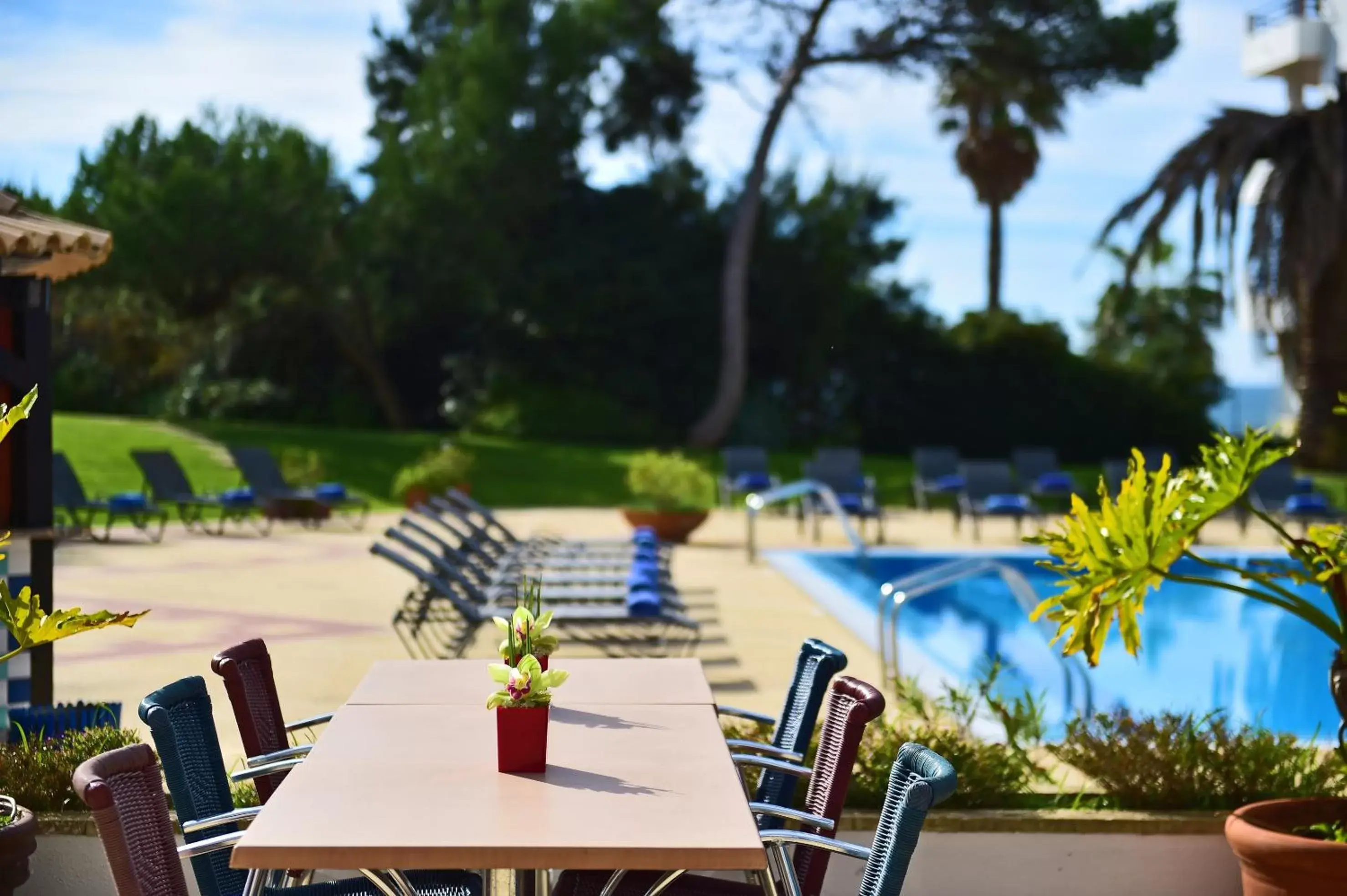 Swimming pool, Patio/Outdoor Area in Hotel Pestana Cascais Ocean & Conference Aparthotel