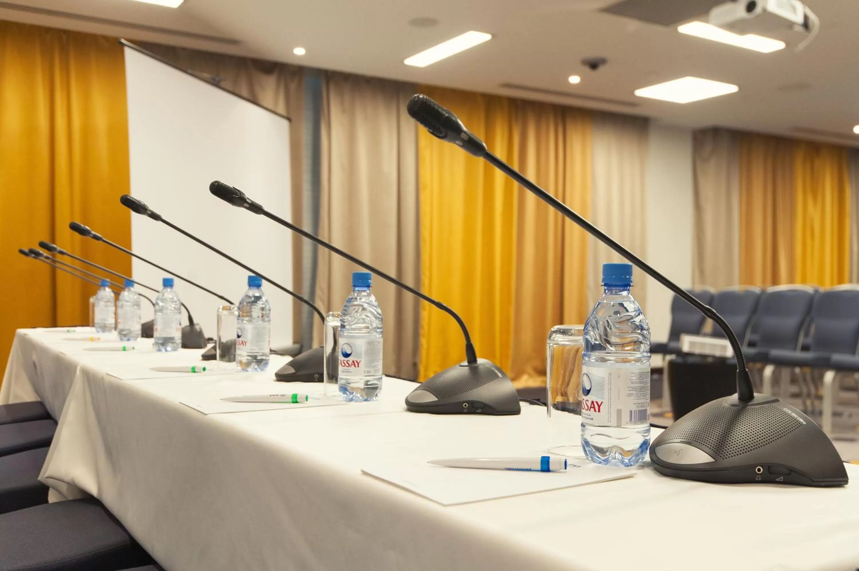 Business facilities in Park Inn by Radisson Hotel Astana