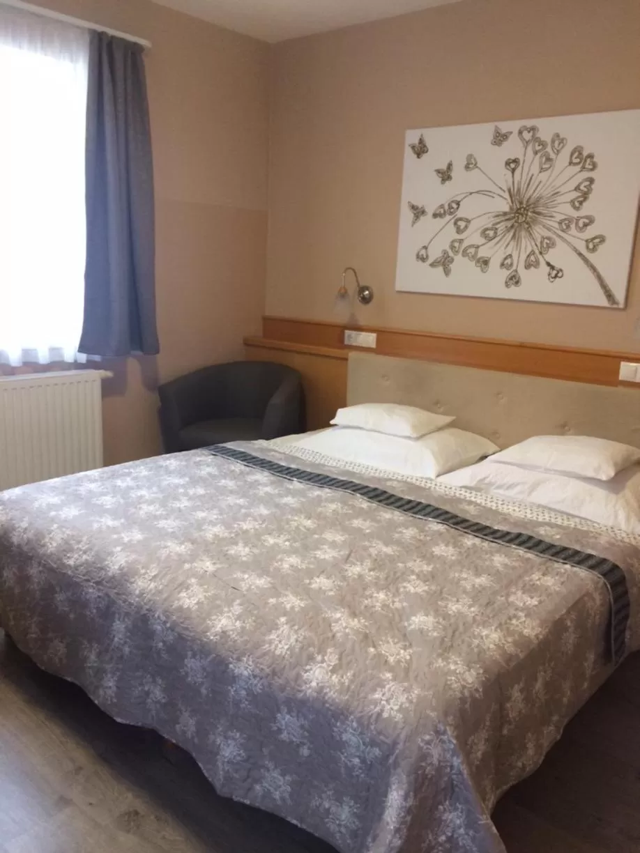 Photo of the whole room, Bed in Hotel Zsida