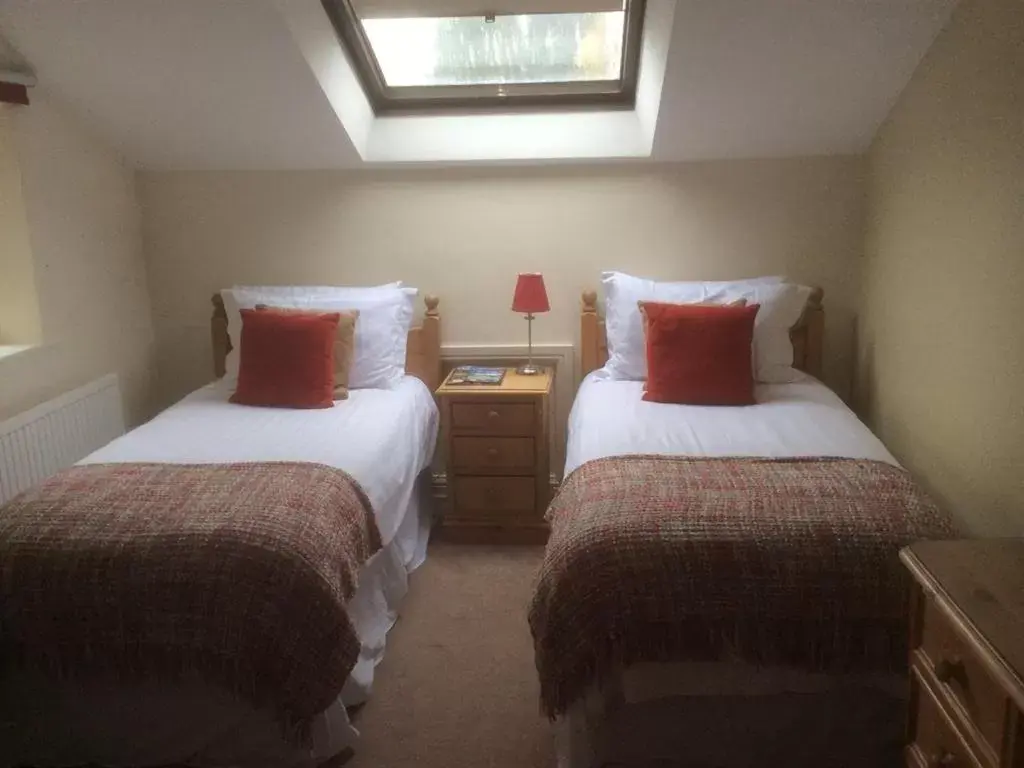 Twin Room with Private Bathroom in Wellington Inn