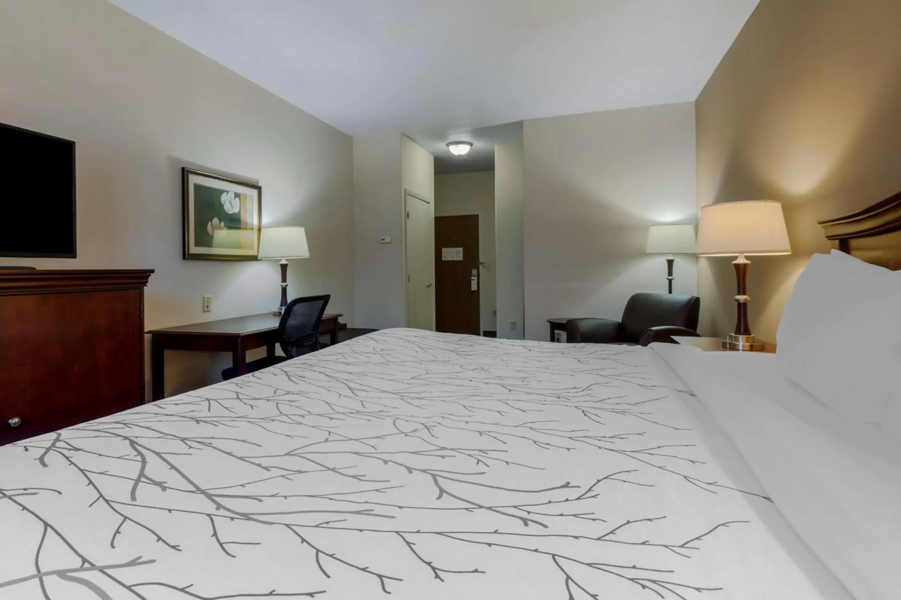 King Room - Non-Smoking/Pet Friendly in Best Western Plus Sweetwater Inn & Suites King Room - Non-Smoking/Pet Friendly in Best Western Plus Sweetwater Inn & Suites