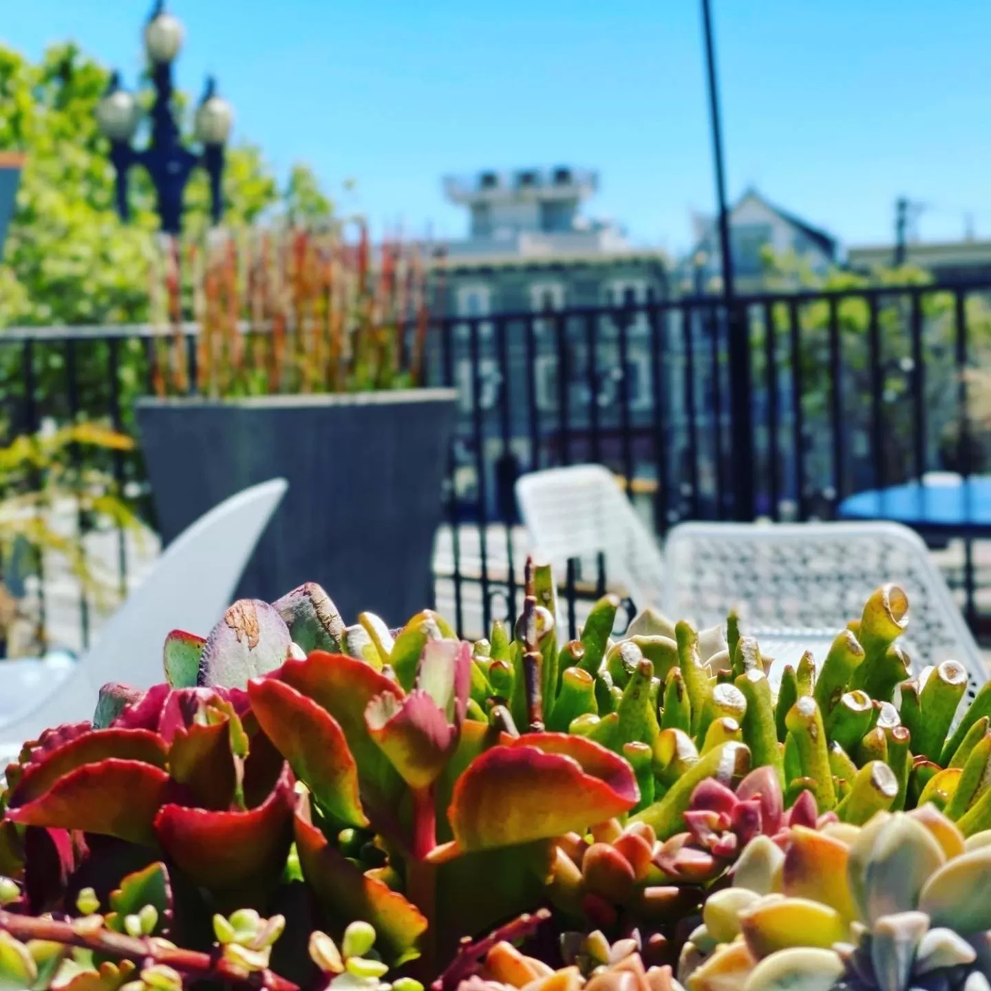 Patio in Beck's Motor Lodge