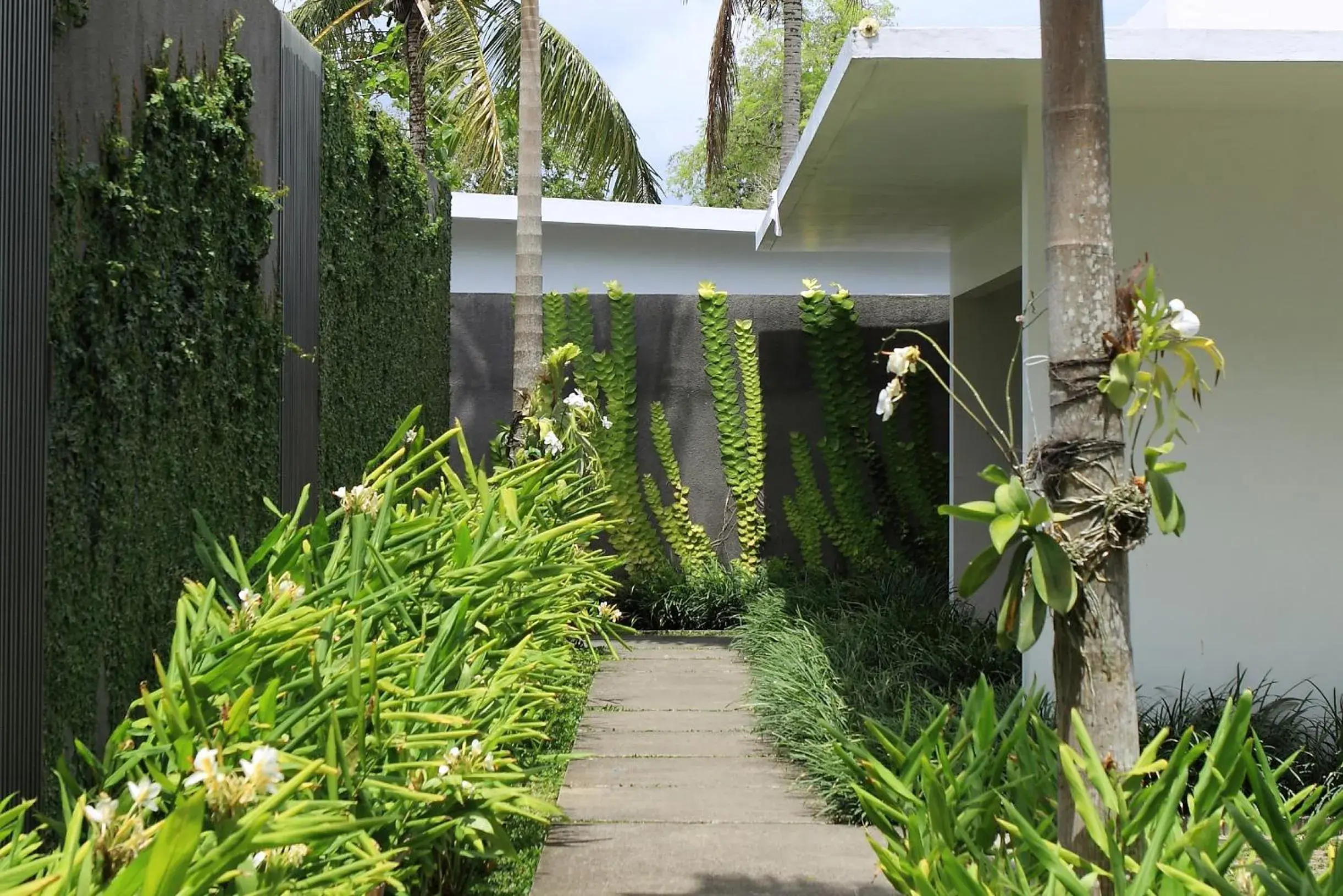 Facade/entrance in Aria Villas Ubud