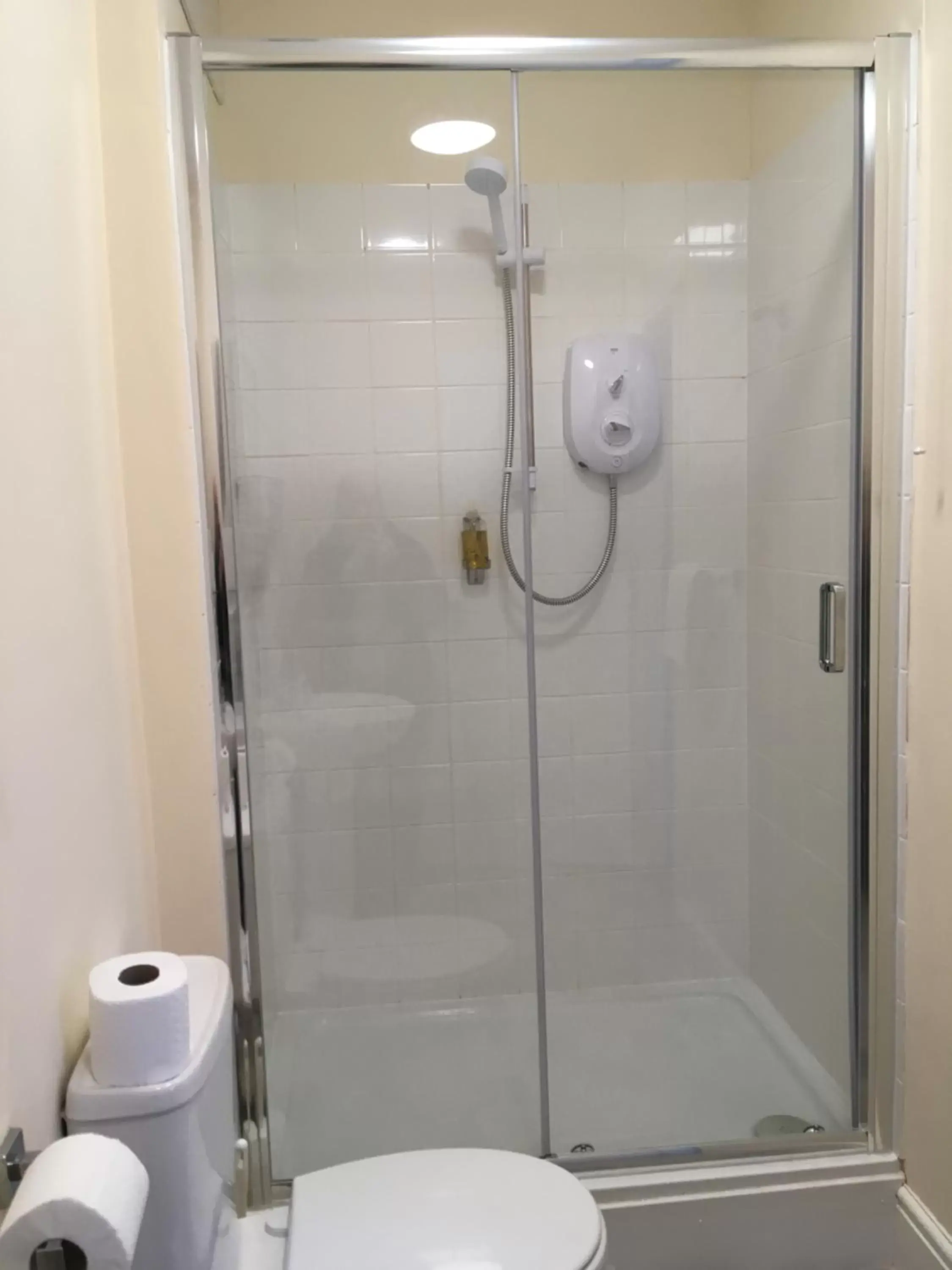 Shower, Bathroom in Y Pengwern