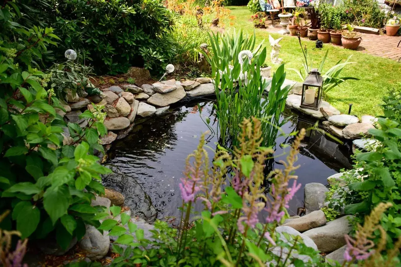 Garden in Gardenview Bed and Breakfast Garden in Gardenview Bed and Breakfast