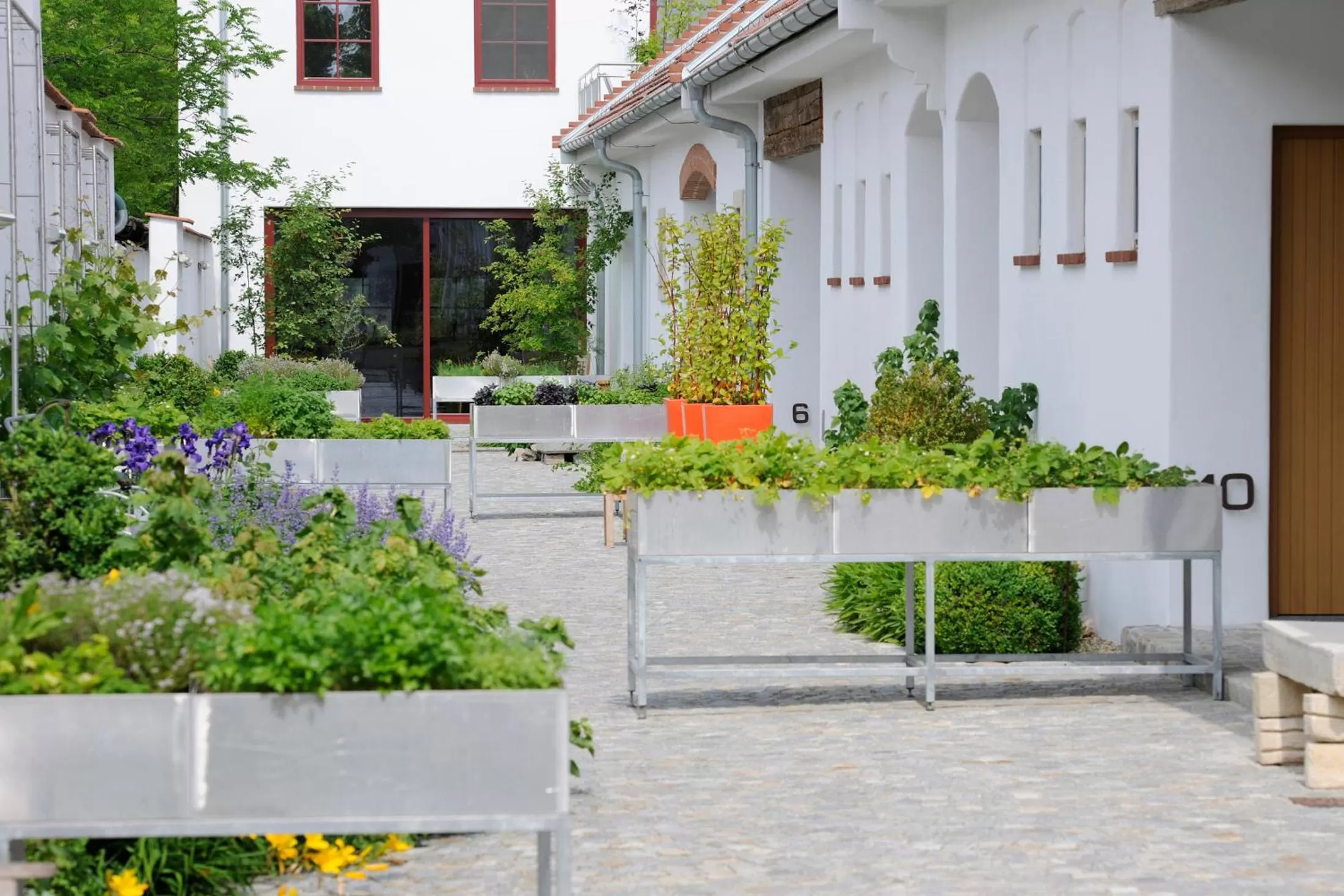 Balcony/Terrace in Genuss Am Hof