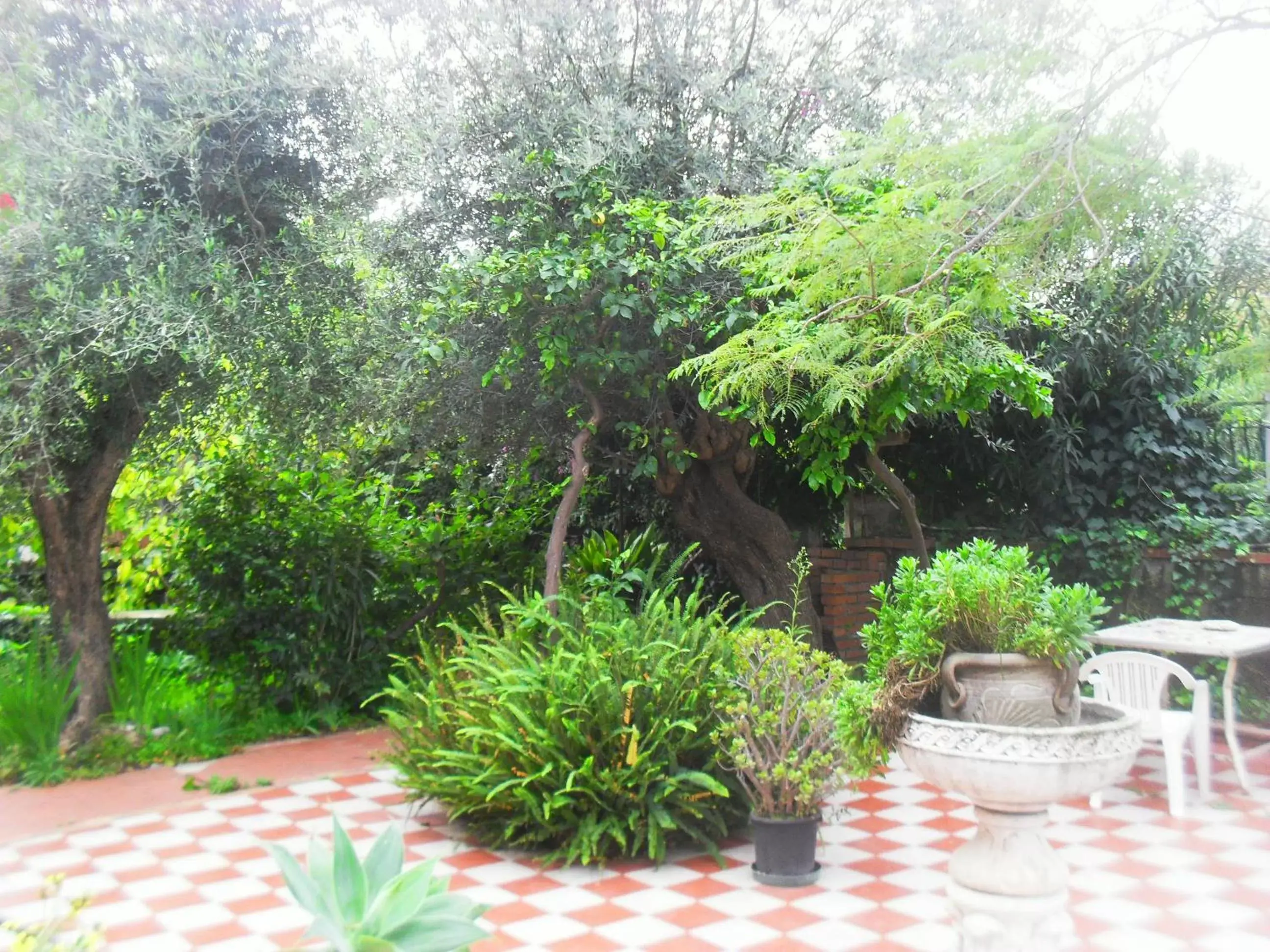 Balcony/Terrace in B&B Villa Lidia