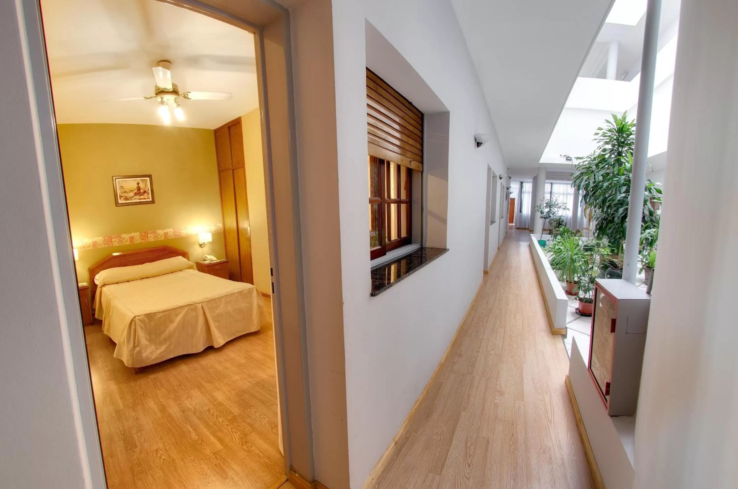 Photo of the whole room, Bed in Hotel Internacional