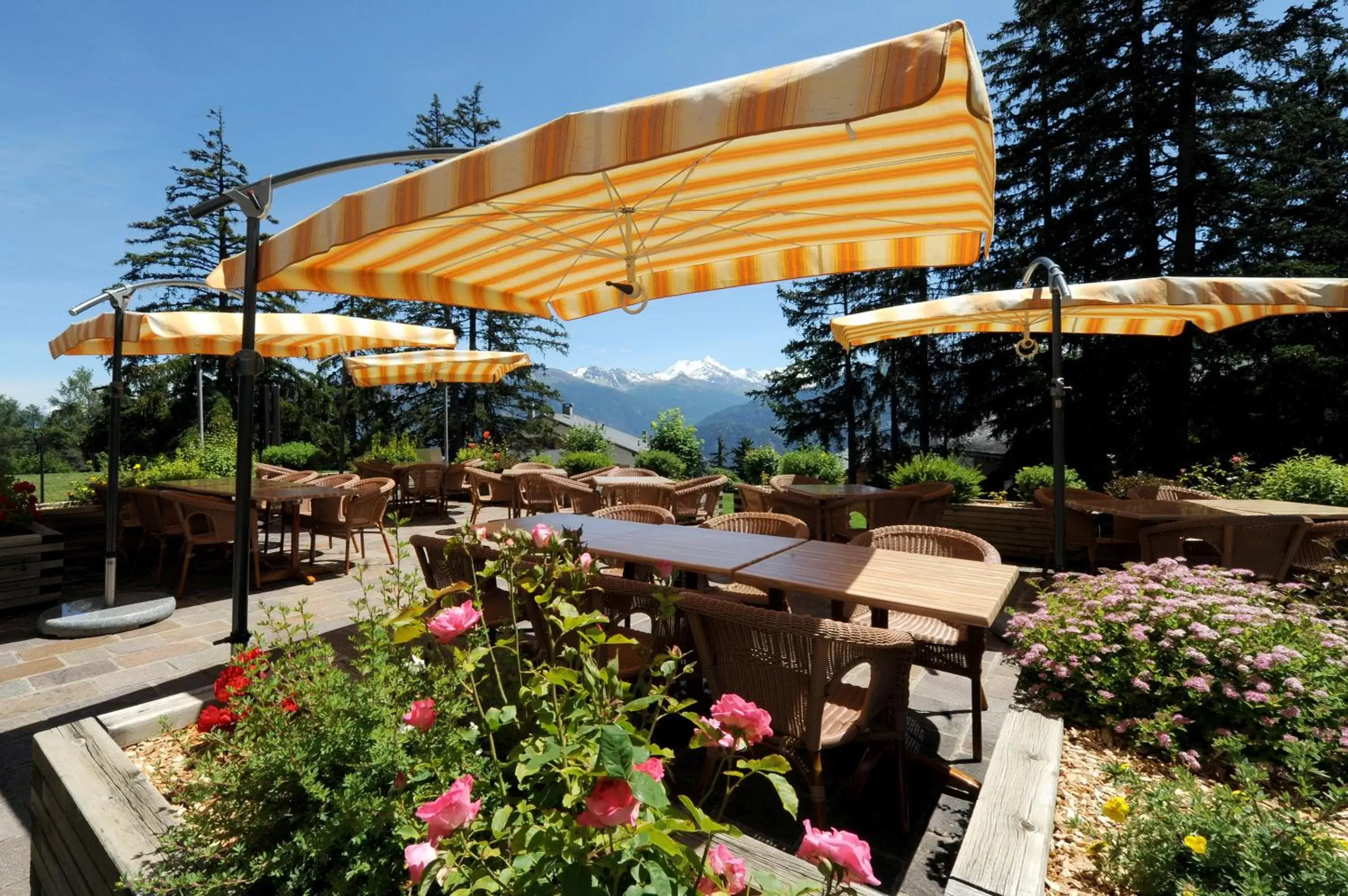 Restaurant/places to eat in Hotel Helvetia Intergolf