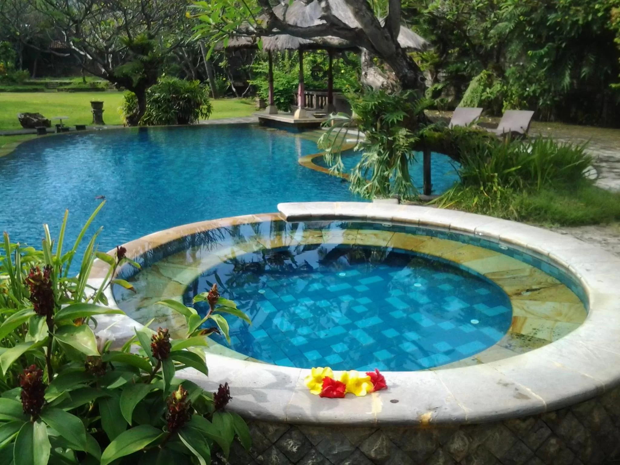 Swimming Pool in Nirwana Sea Side Cottages
