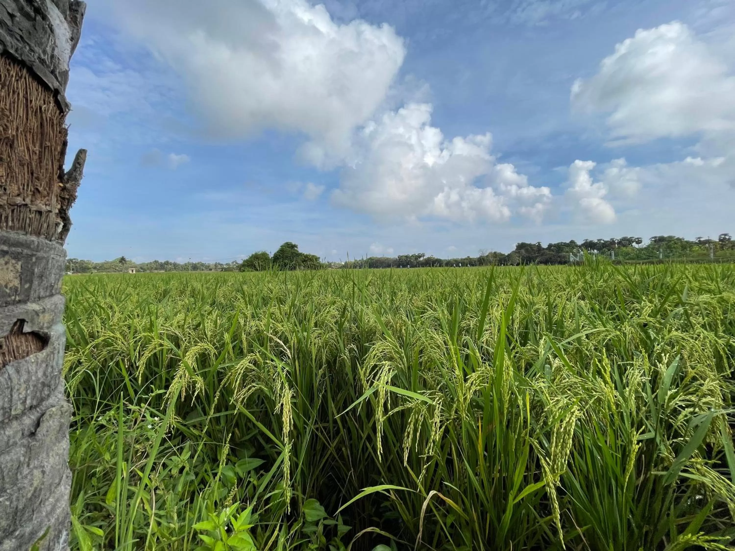 Marutham Village Resort