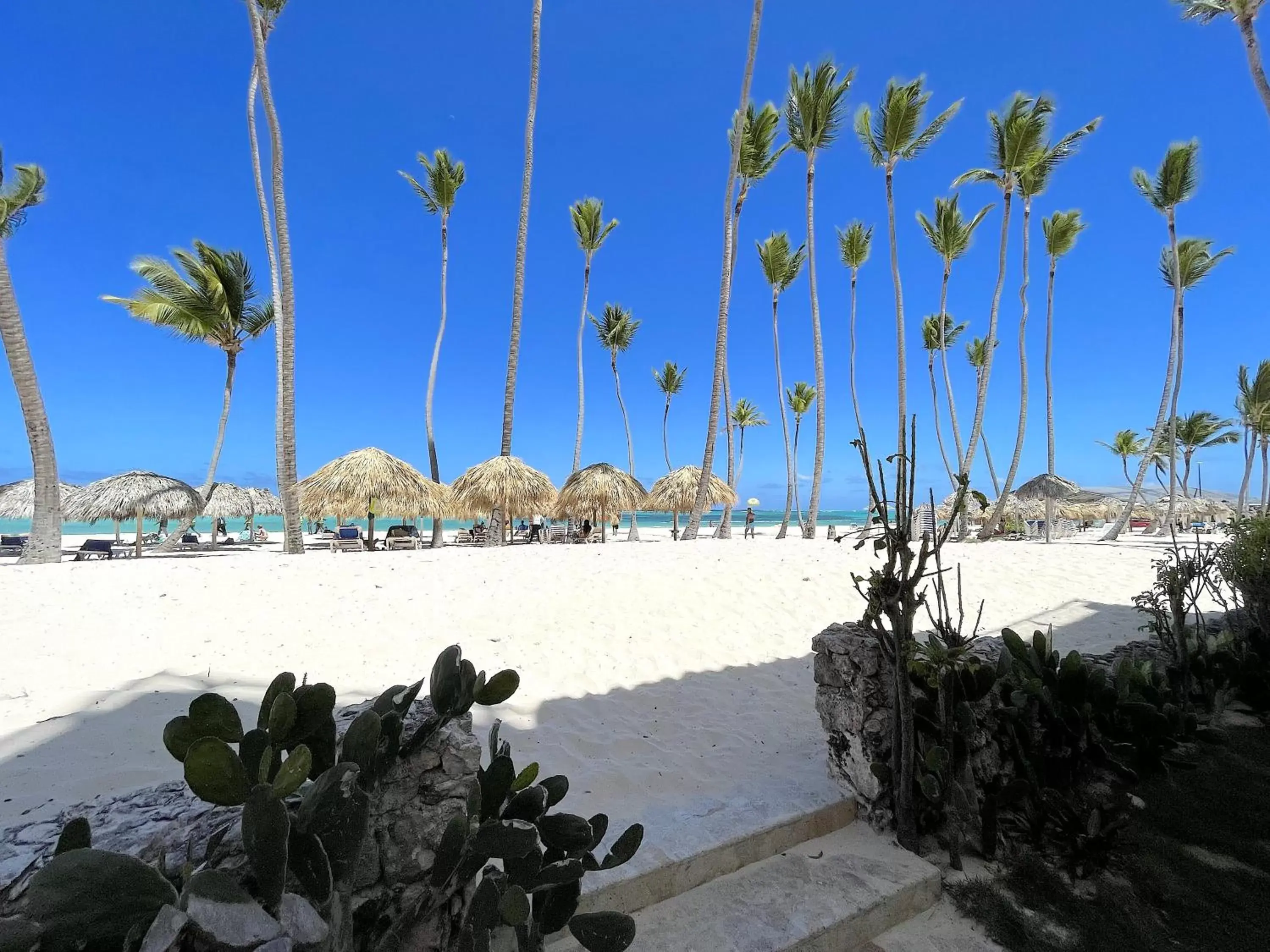 Nearby landmark, Beach in CARIBBEAN GALAXY HOTEL Los Corales BAVARO BEACH CLUB & SPA