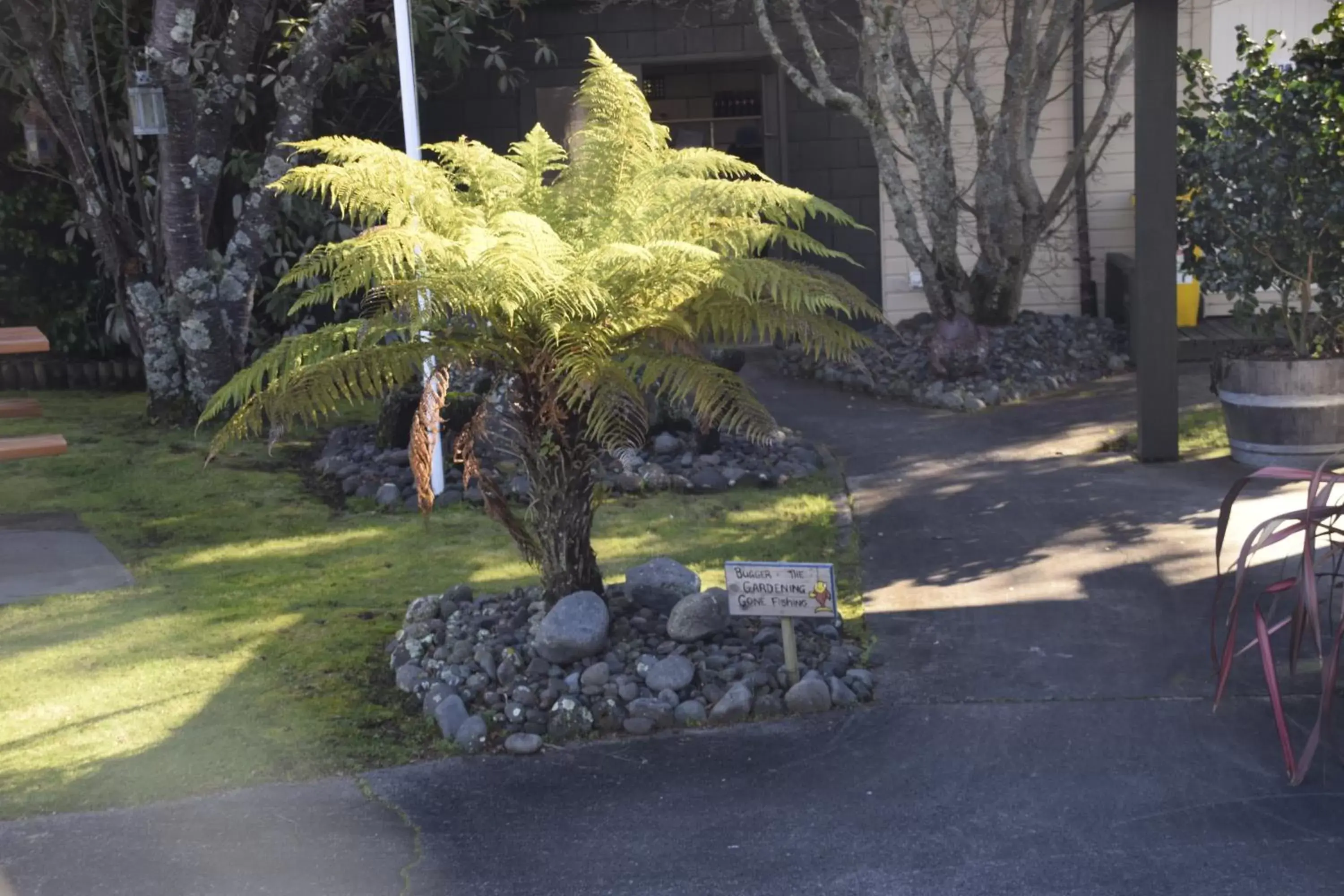 Garden in Judges Pool Motel Turangi