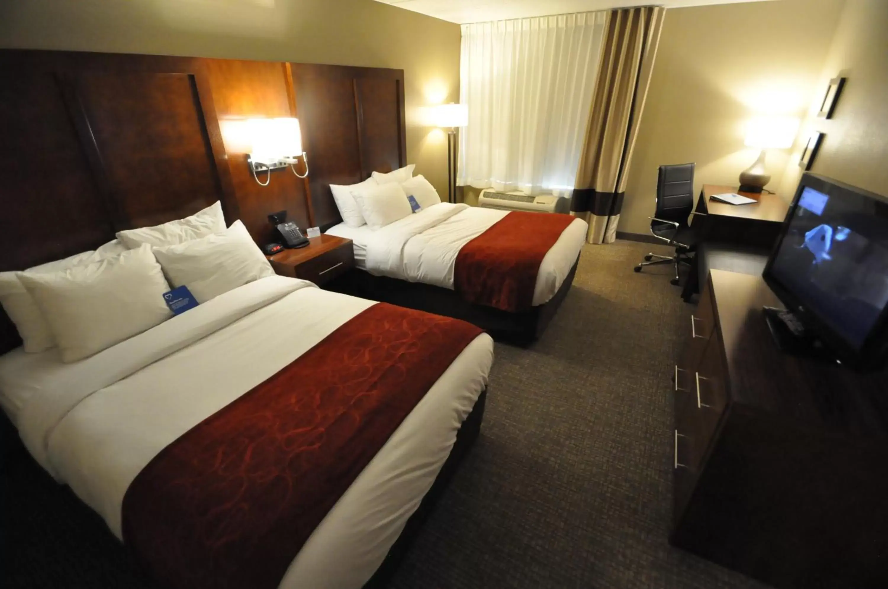 Bed, Room Photo in Comfort Inn & Suites Aberdeen