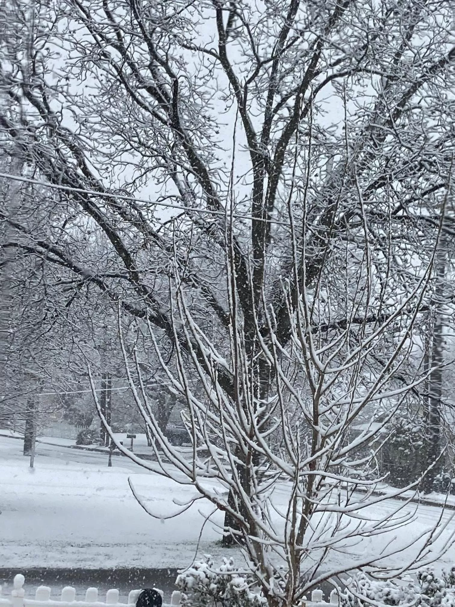 Other in Granbury Gardens Bed and Breakfast