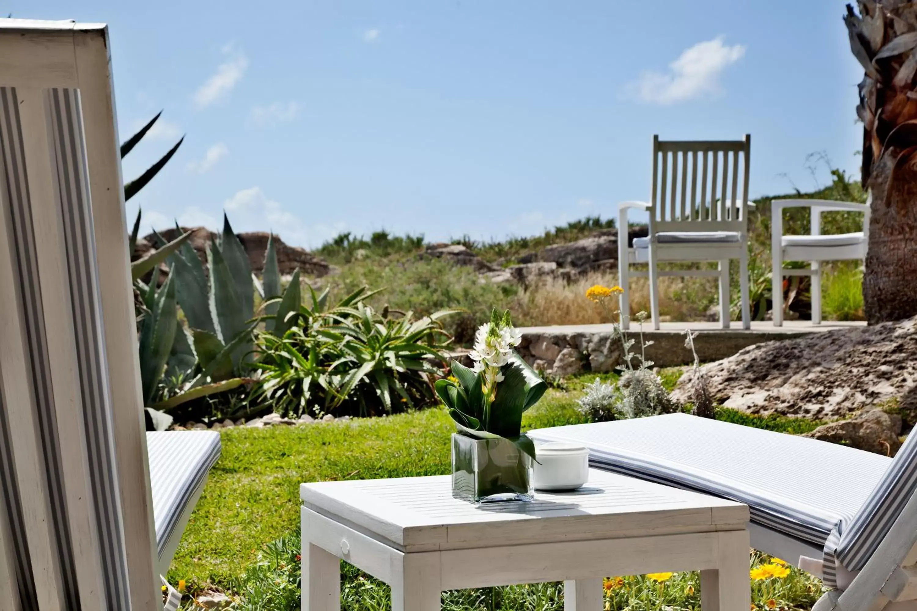 Garden view in Farol Hotel